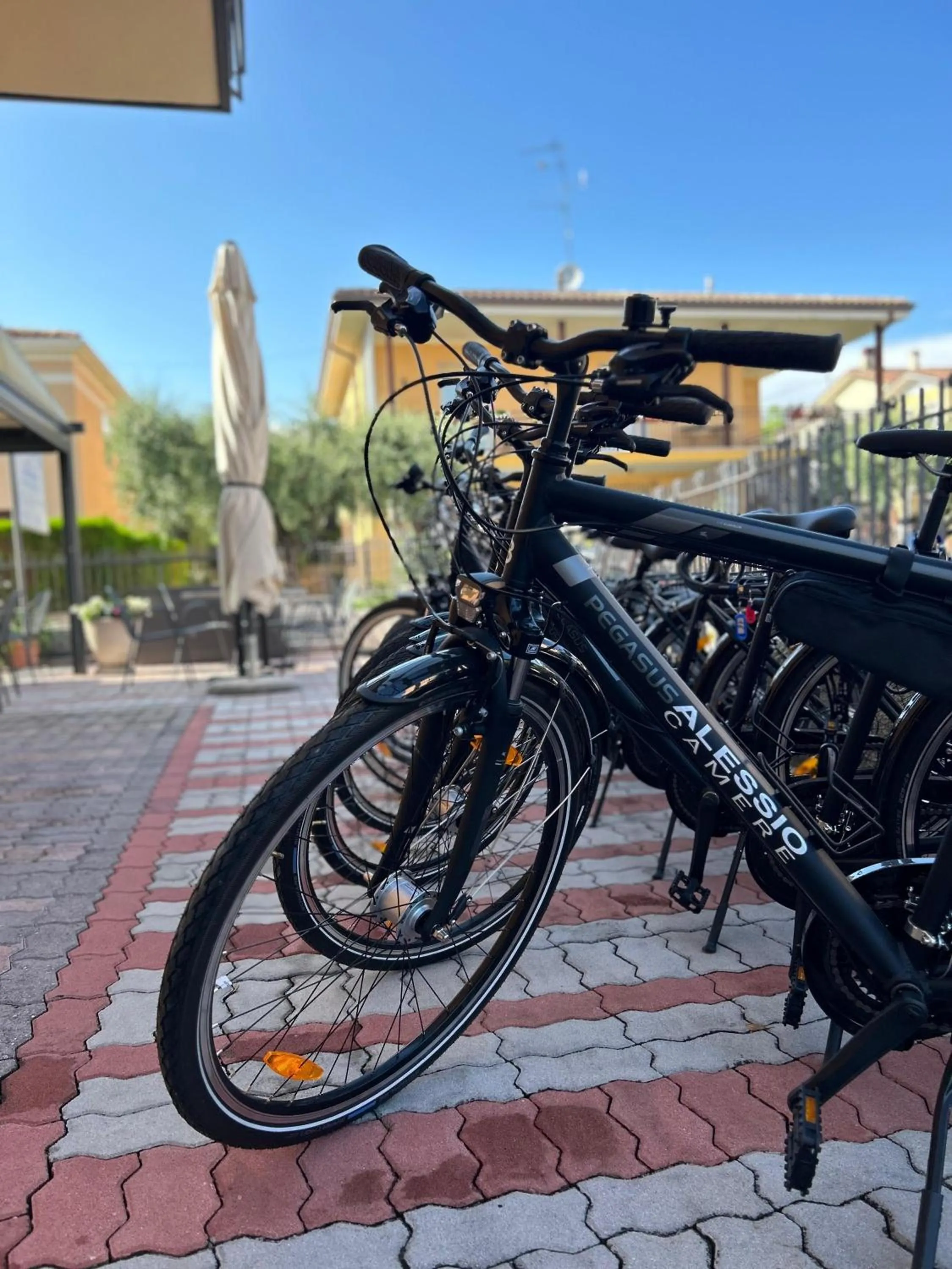 Cycling in Alessio Camere