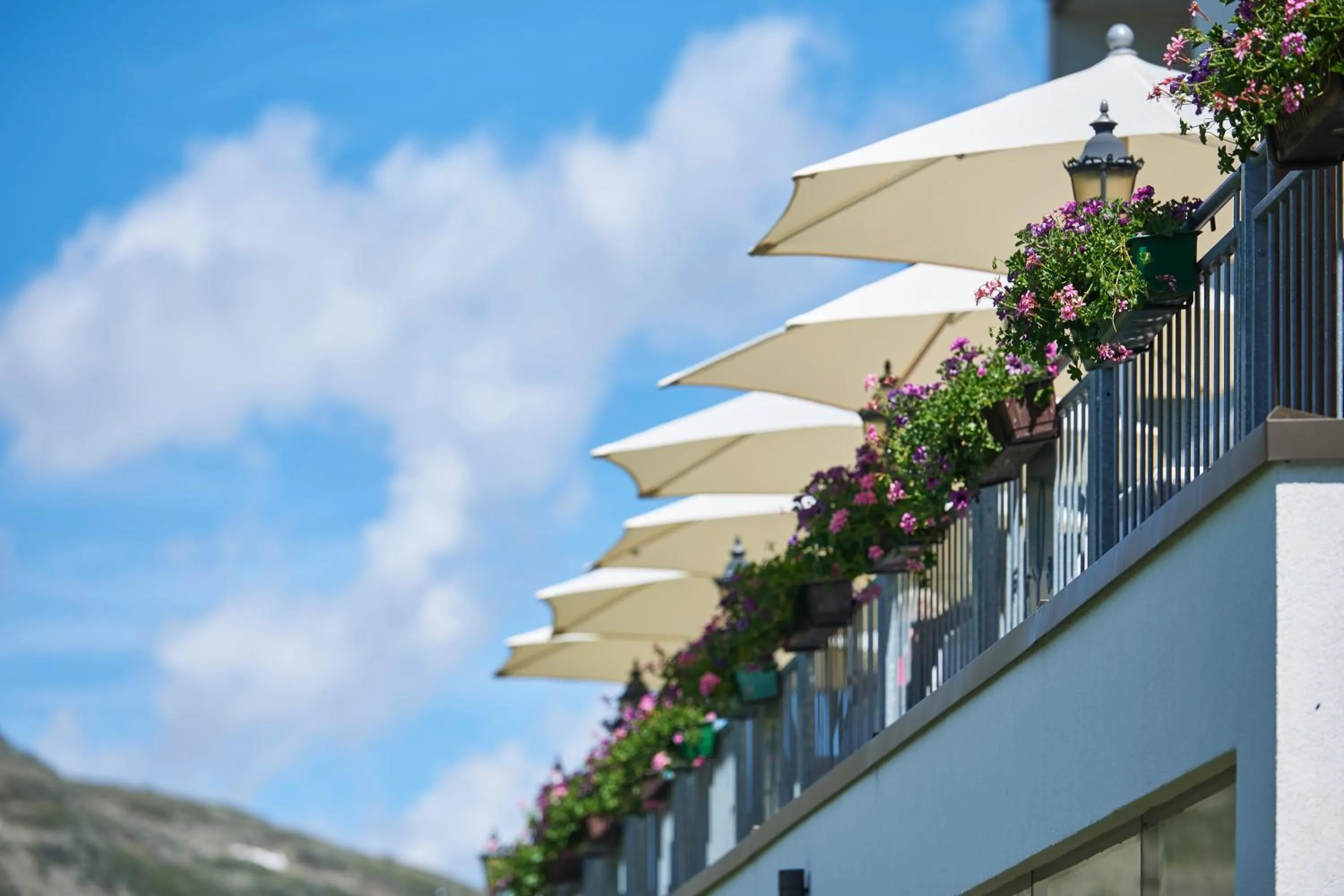 Balcony/Terrace in Alpenhotel Laurin