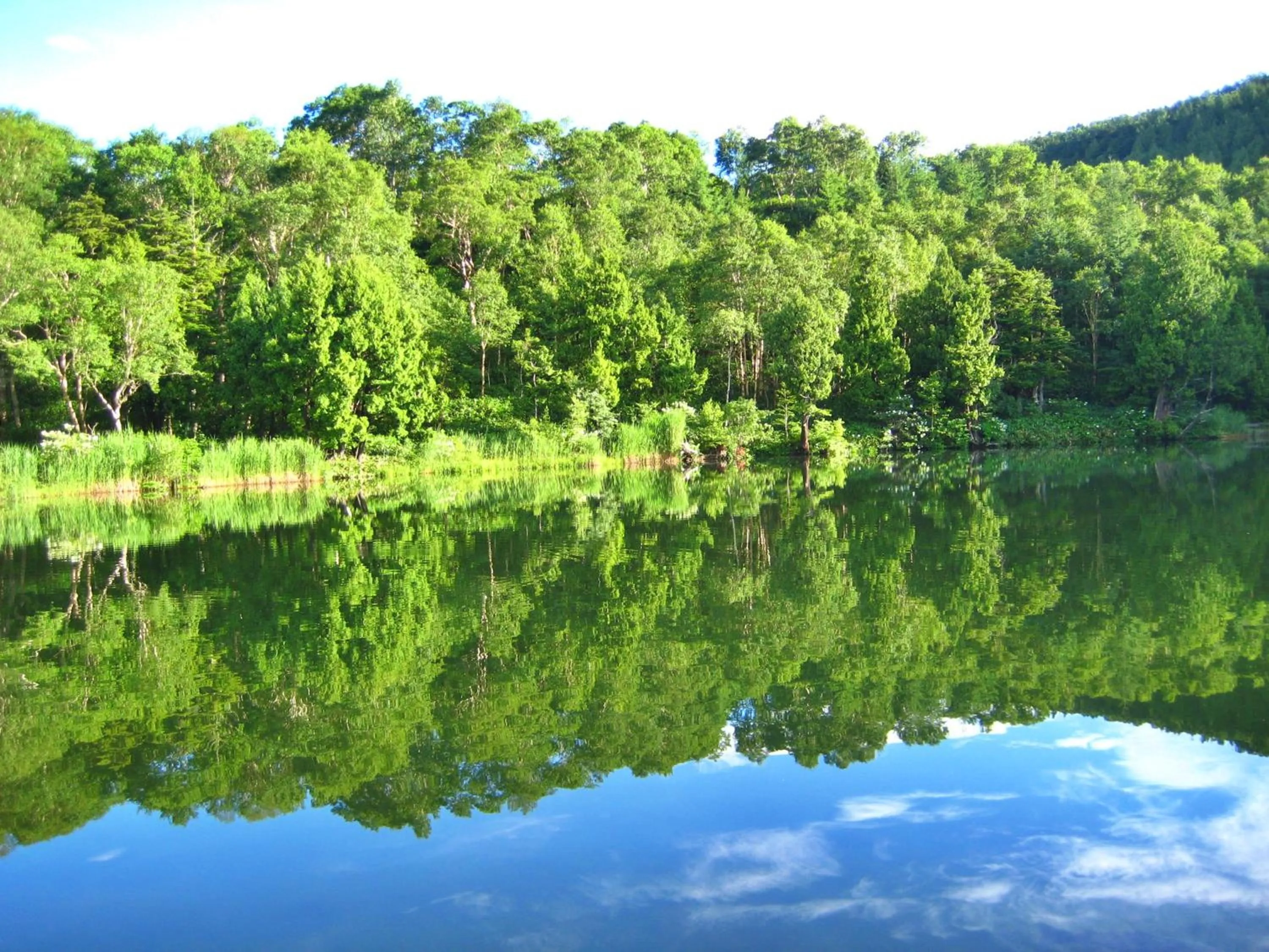 Off site in Kidoike Onsen Hotel