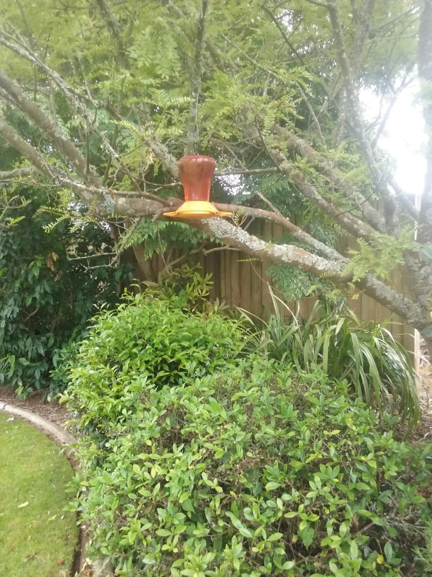 Cabourne Cottage