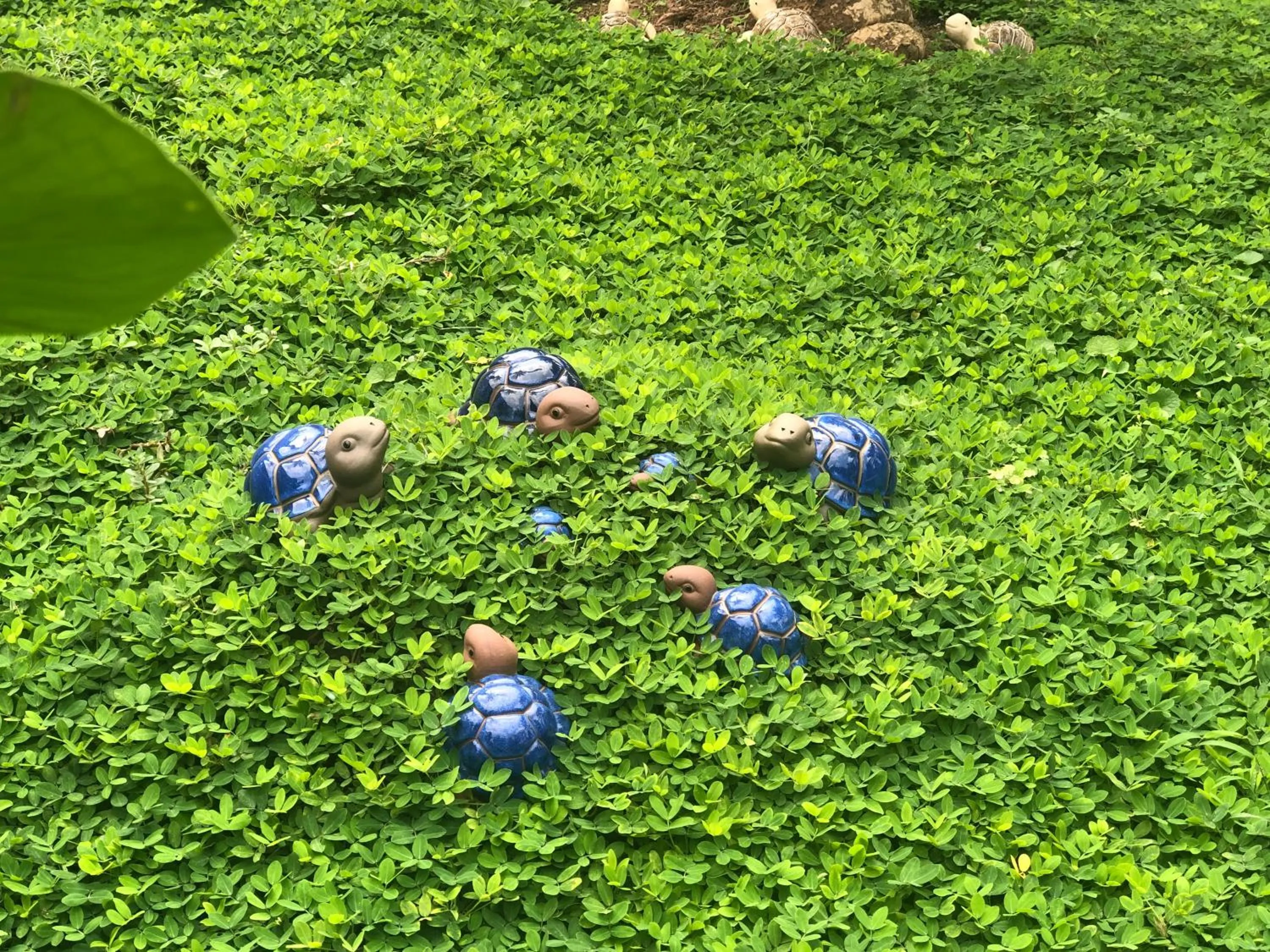 Garden in Tam Coc La Montagne Resort & Spa Ninh Binh