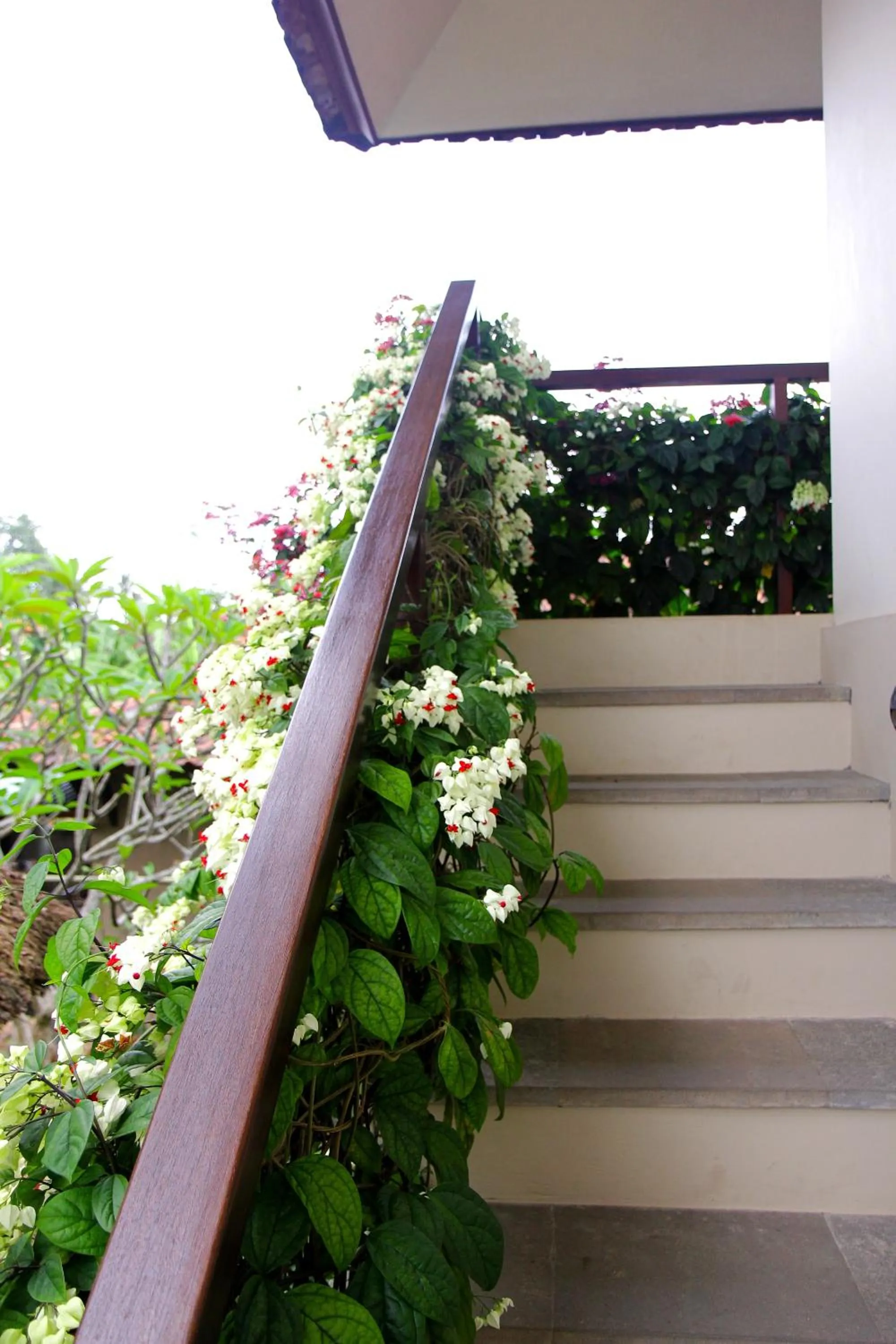 Other in Rumah Taman