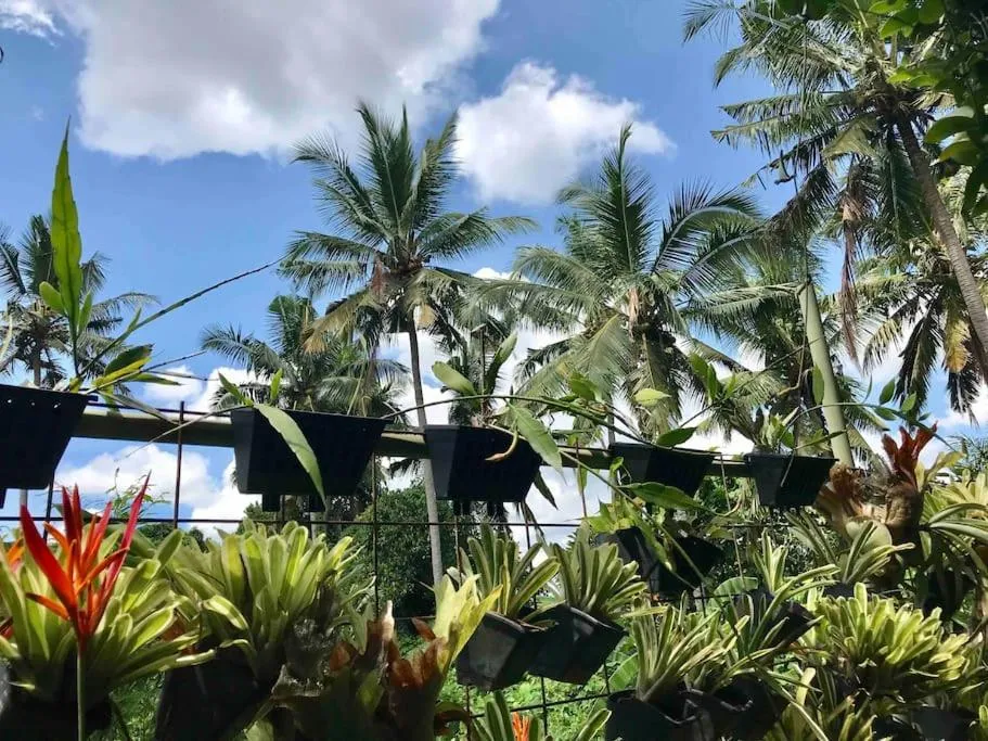 Garden in Rumah Taman