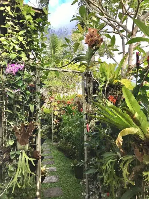Garden view in Rumah Taman Garden view in Rumah Taman