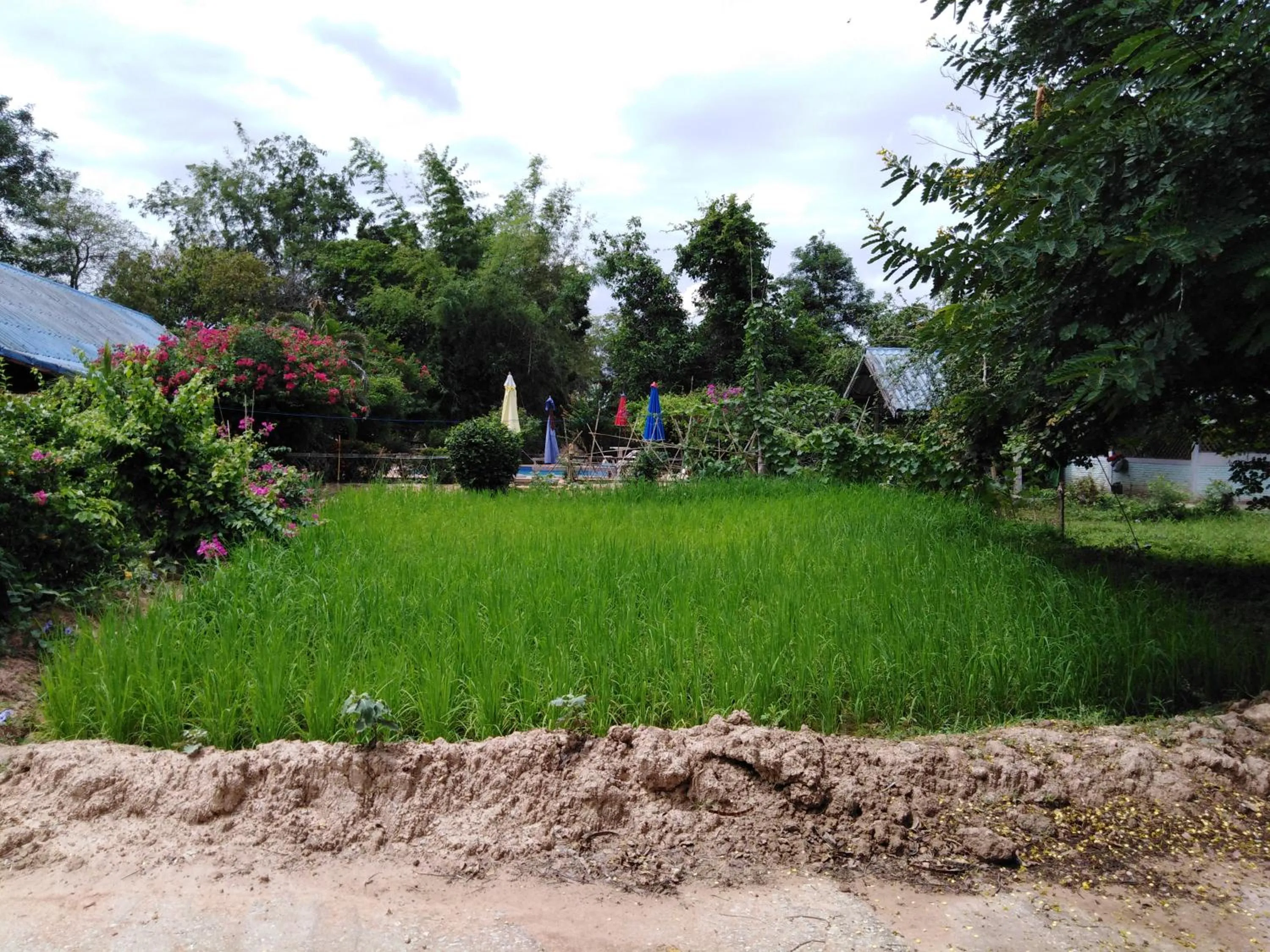 Natural landscape in Mountain View Guesthouse