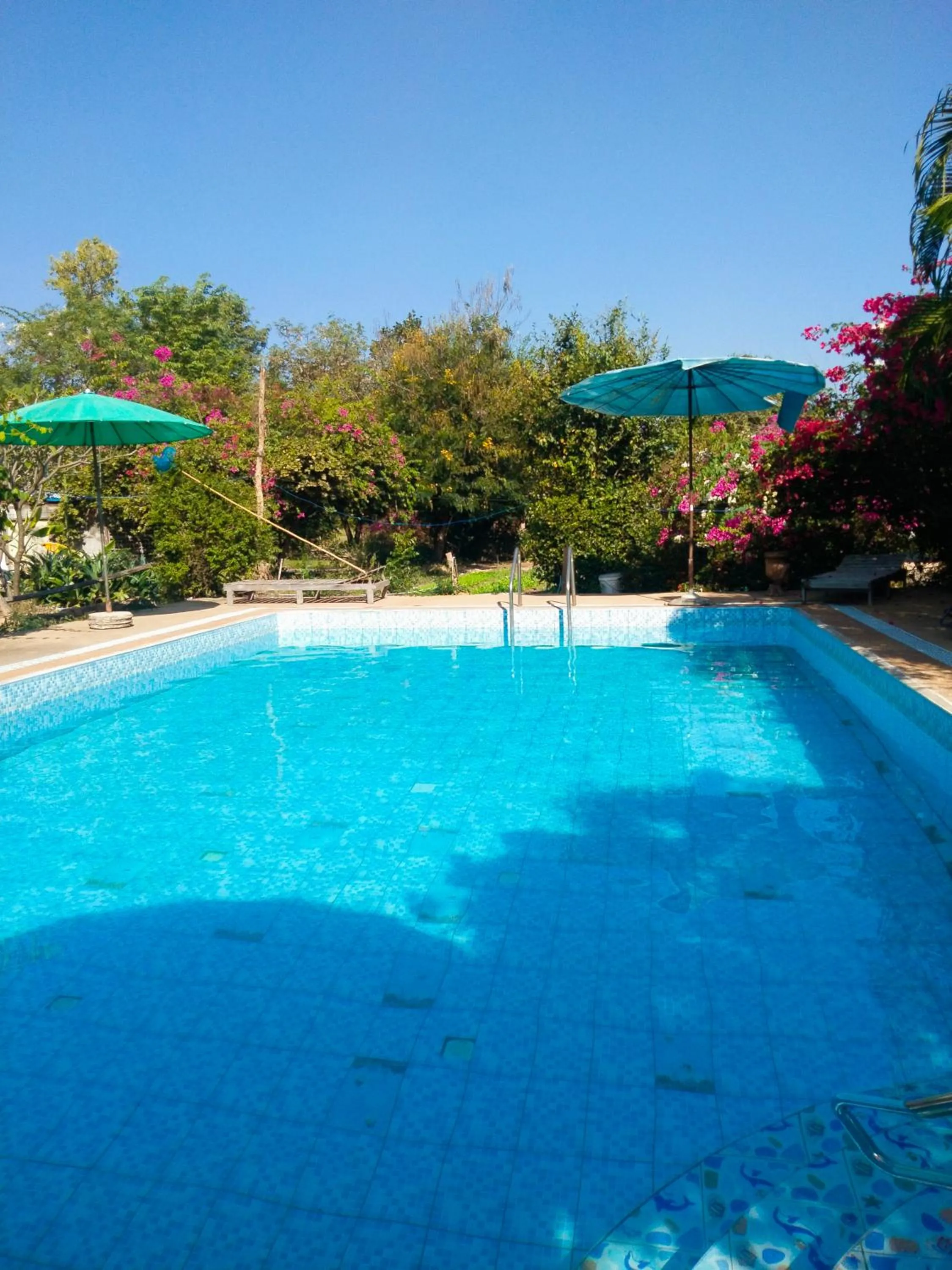 Pool view in Mountain View Guesthouse
