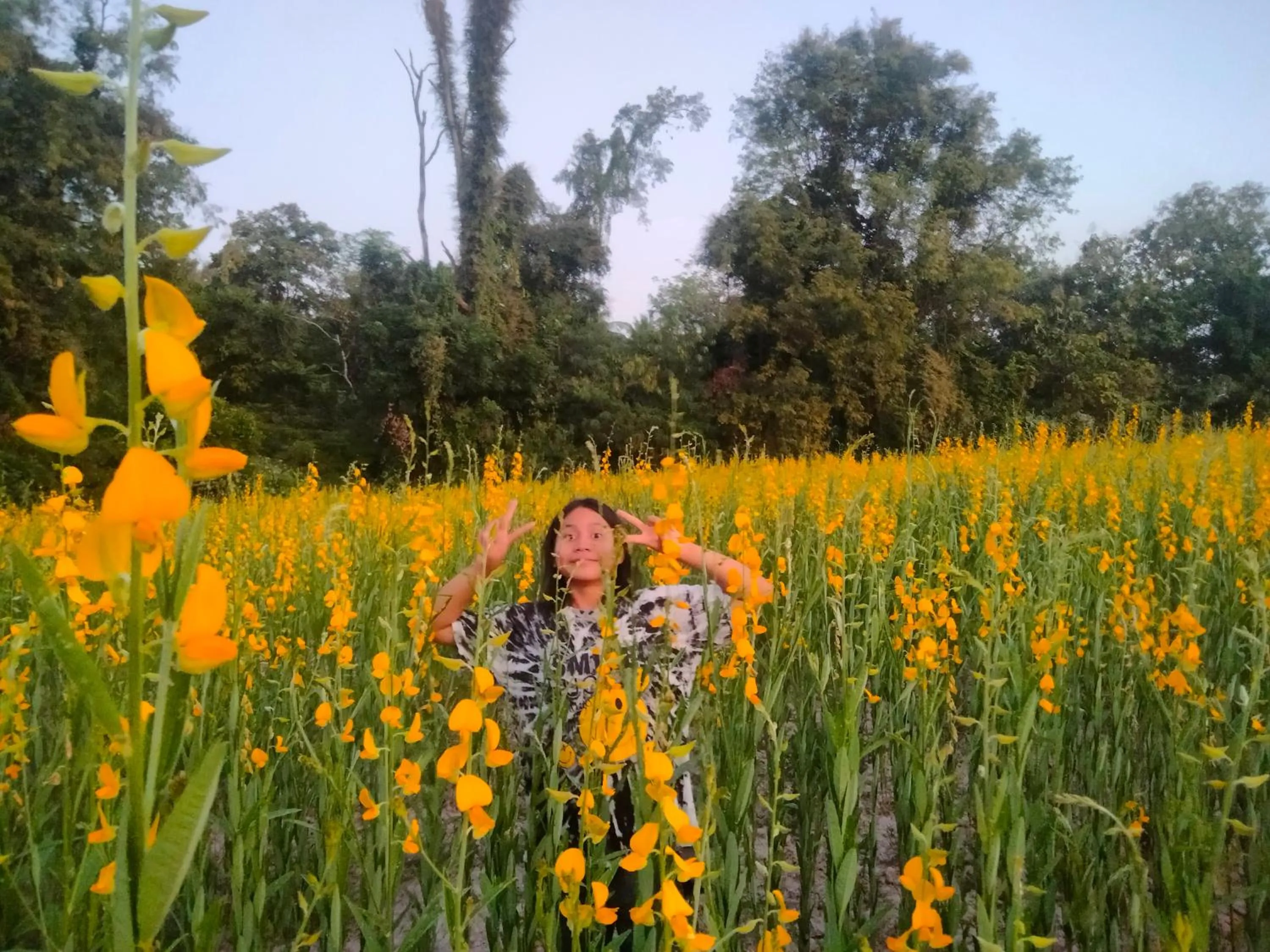 Natural landscape in Mountain View Guesthouse
