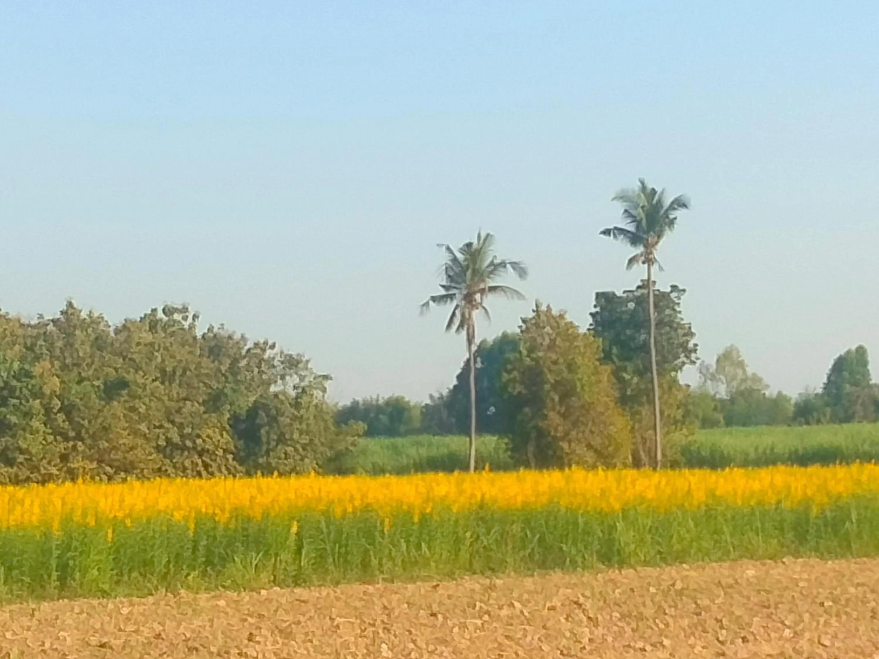 Natural landscape in Mountain View Guesthouse