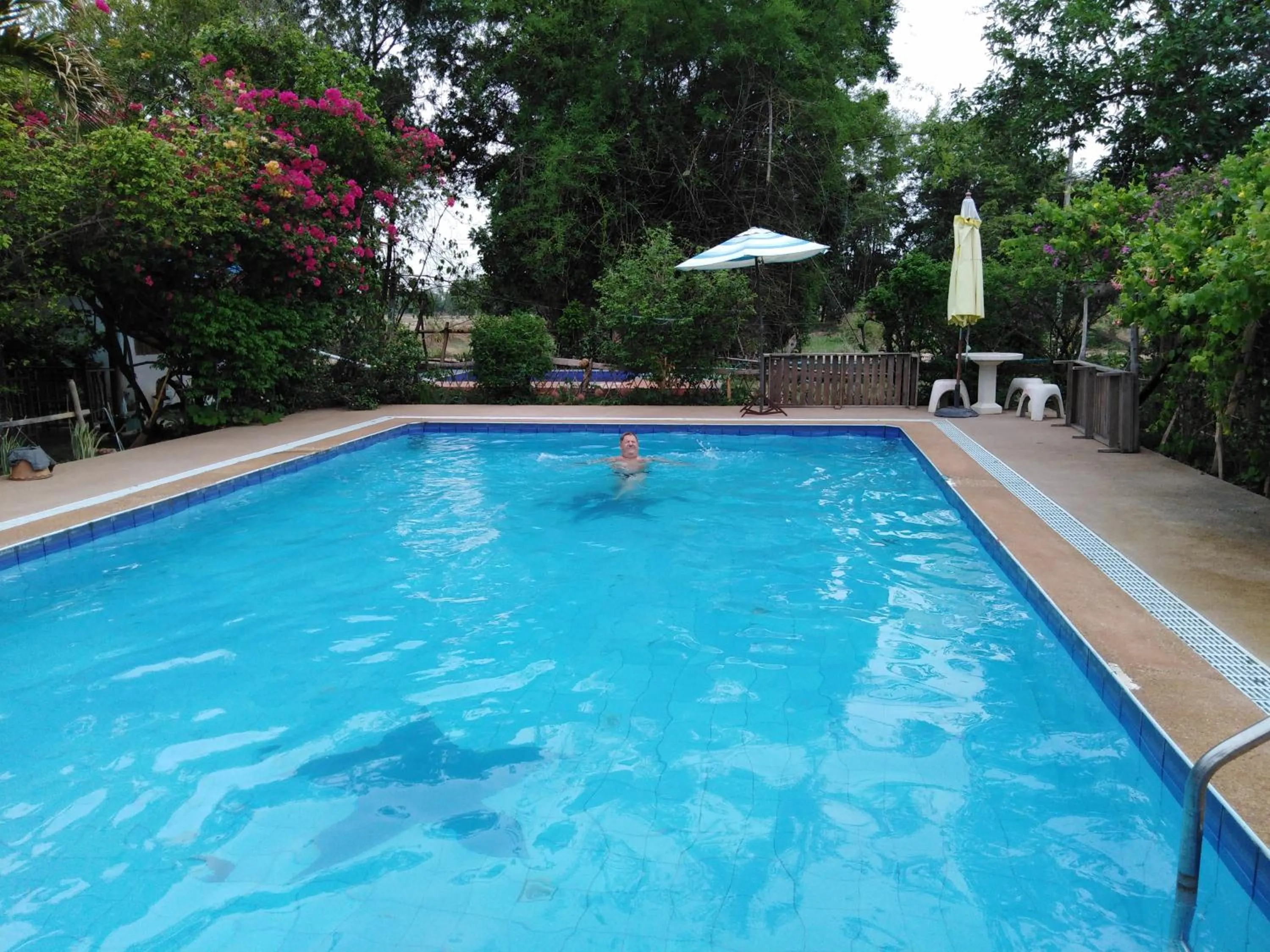 Pool view in Mountain View Guesthouse