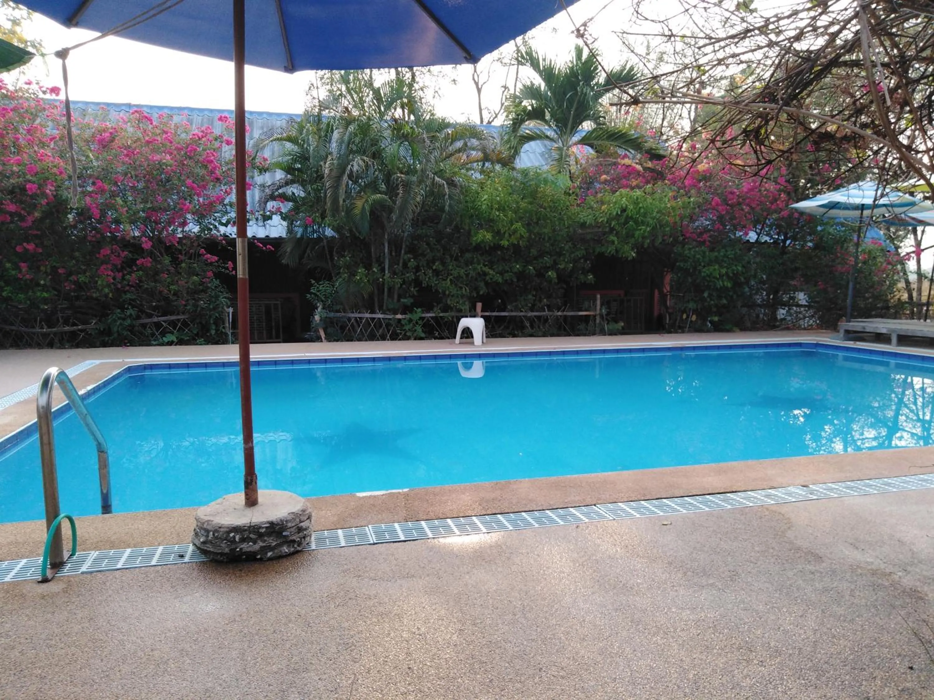 Pool view in Mountain View Guesthouse