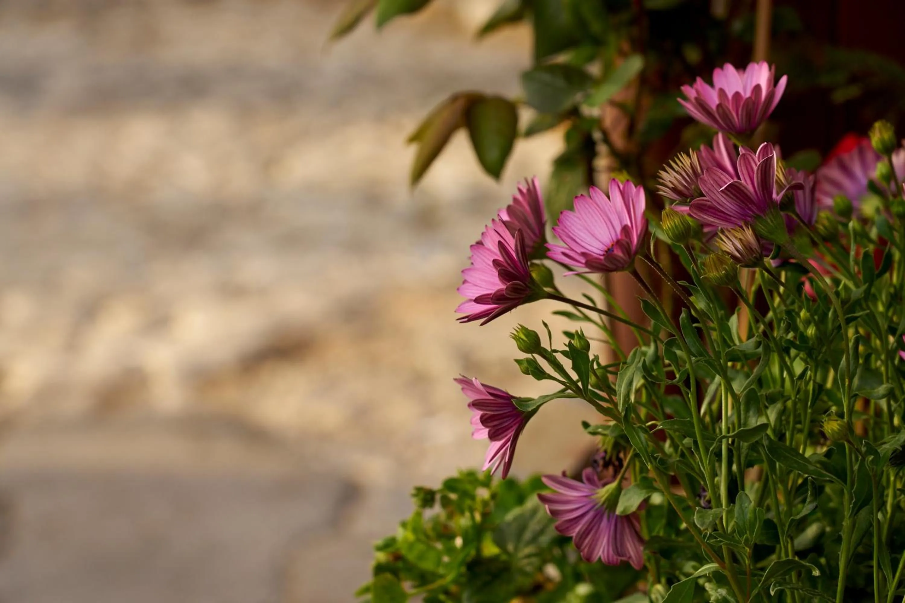 Other in Hotel Atrapos