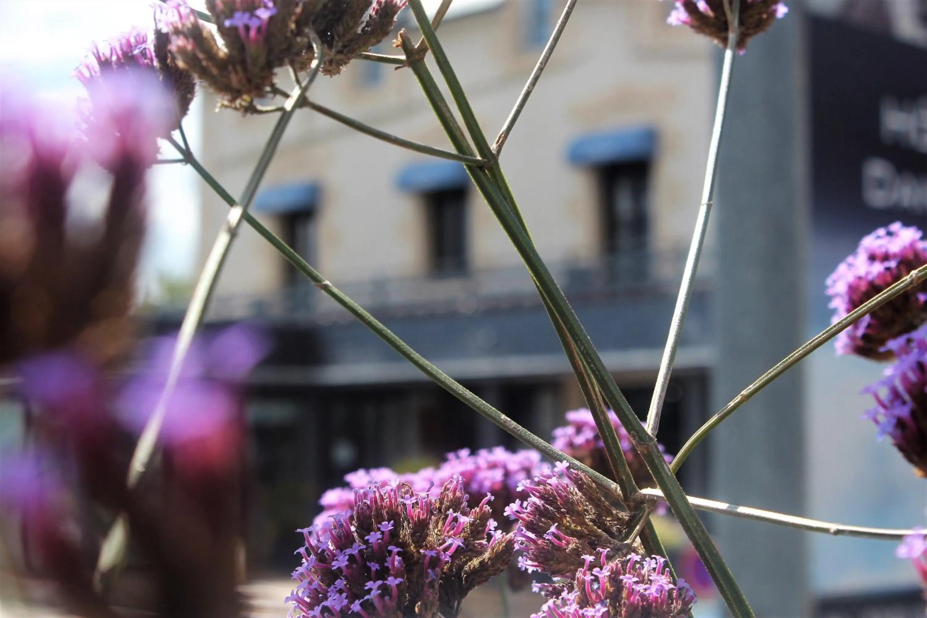 Property building in Les Treize Assiettes - Hôtel & Restaurant