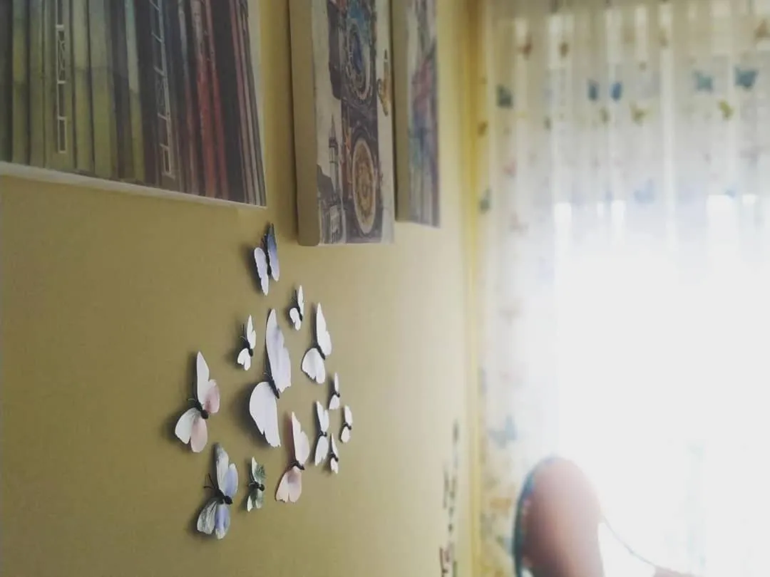 Butterfly Room