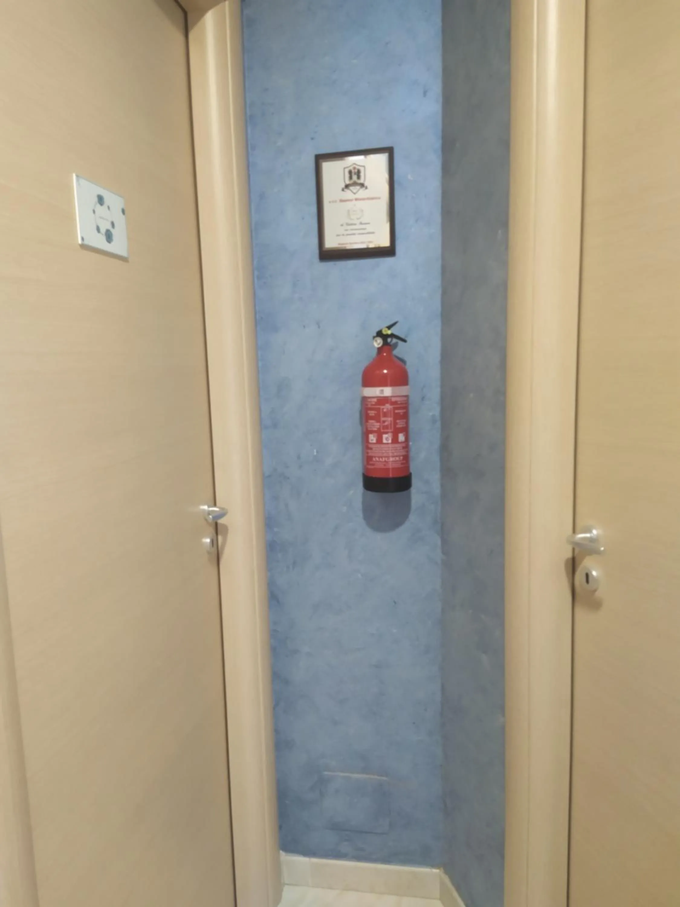 Butterfly Room