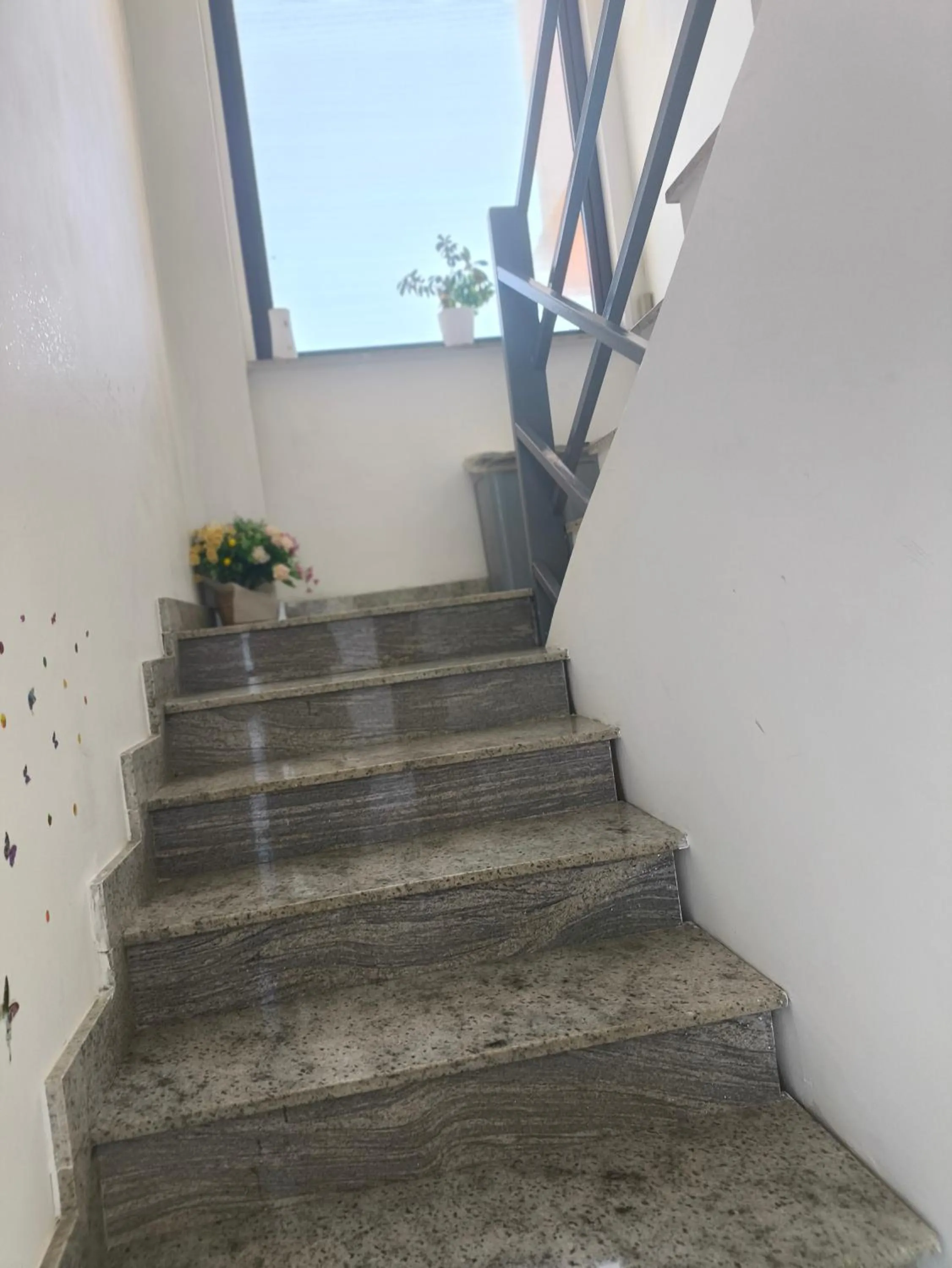 Butterfly Room