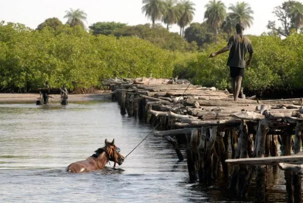 Property building in N'Danthiéné Lodge
