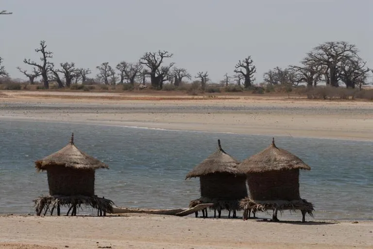 Property building in N'Danthiéné Lodge