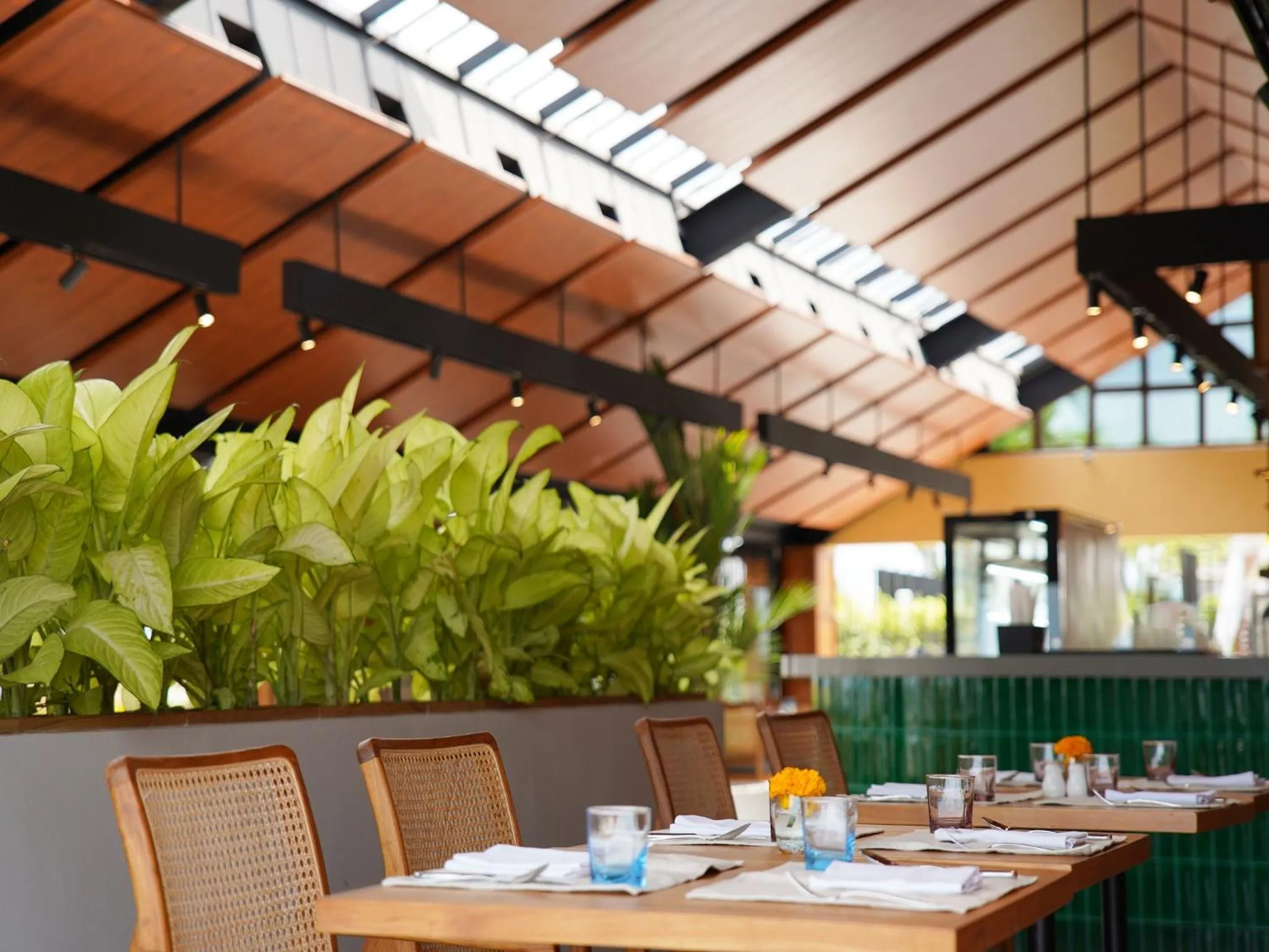 Restaurant/places to eat in Cross Paasha Bali Seminyak