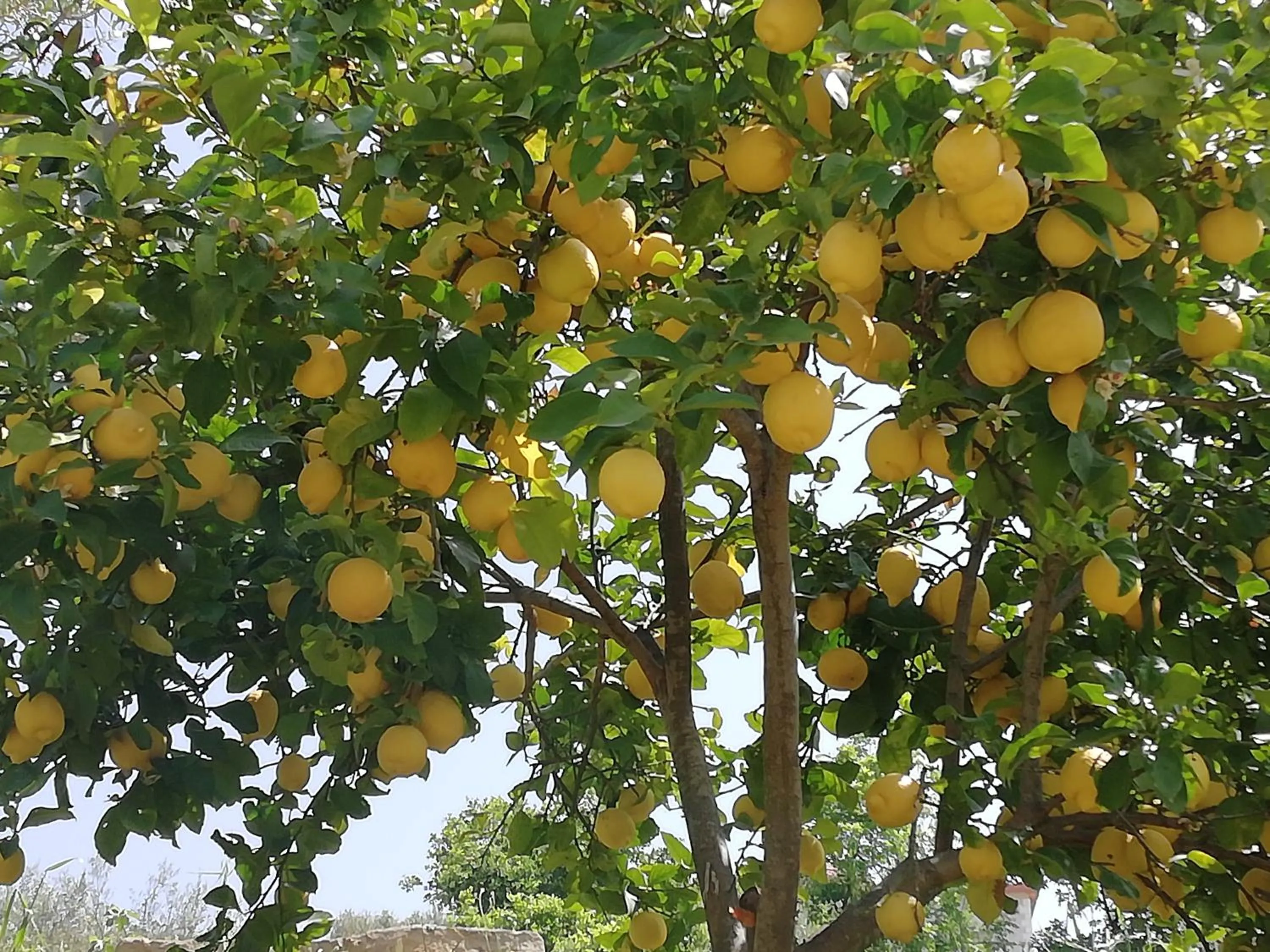 b&b binario nove e tre quarti