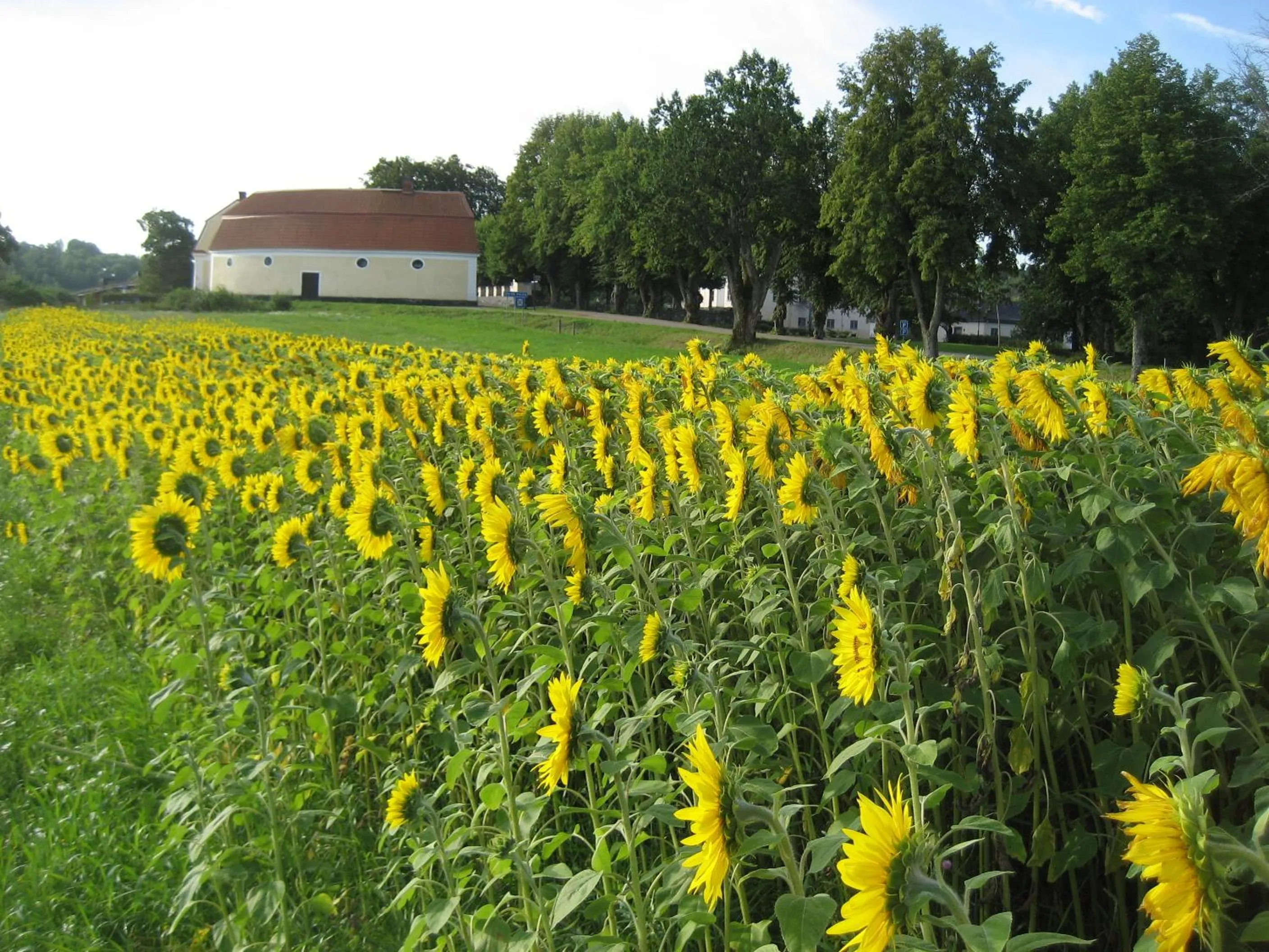 Natural landscape in Öster Malma Hotel