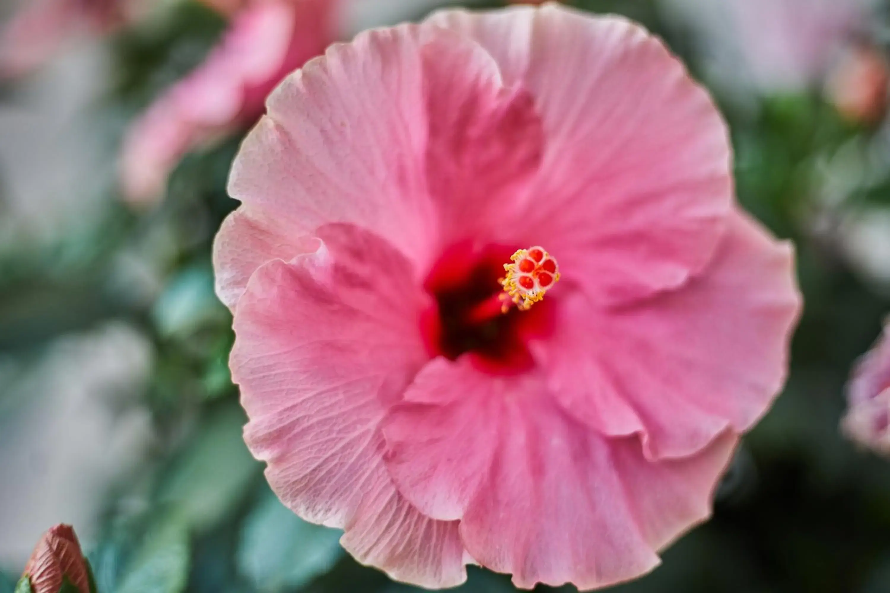 Mon Boutique Hotel Mon Boutique Hotel