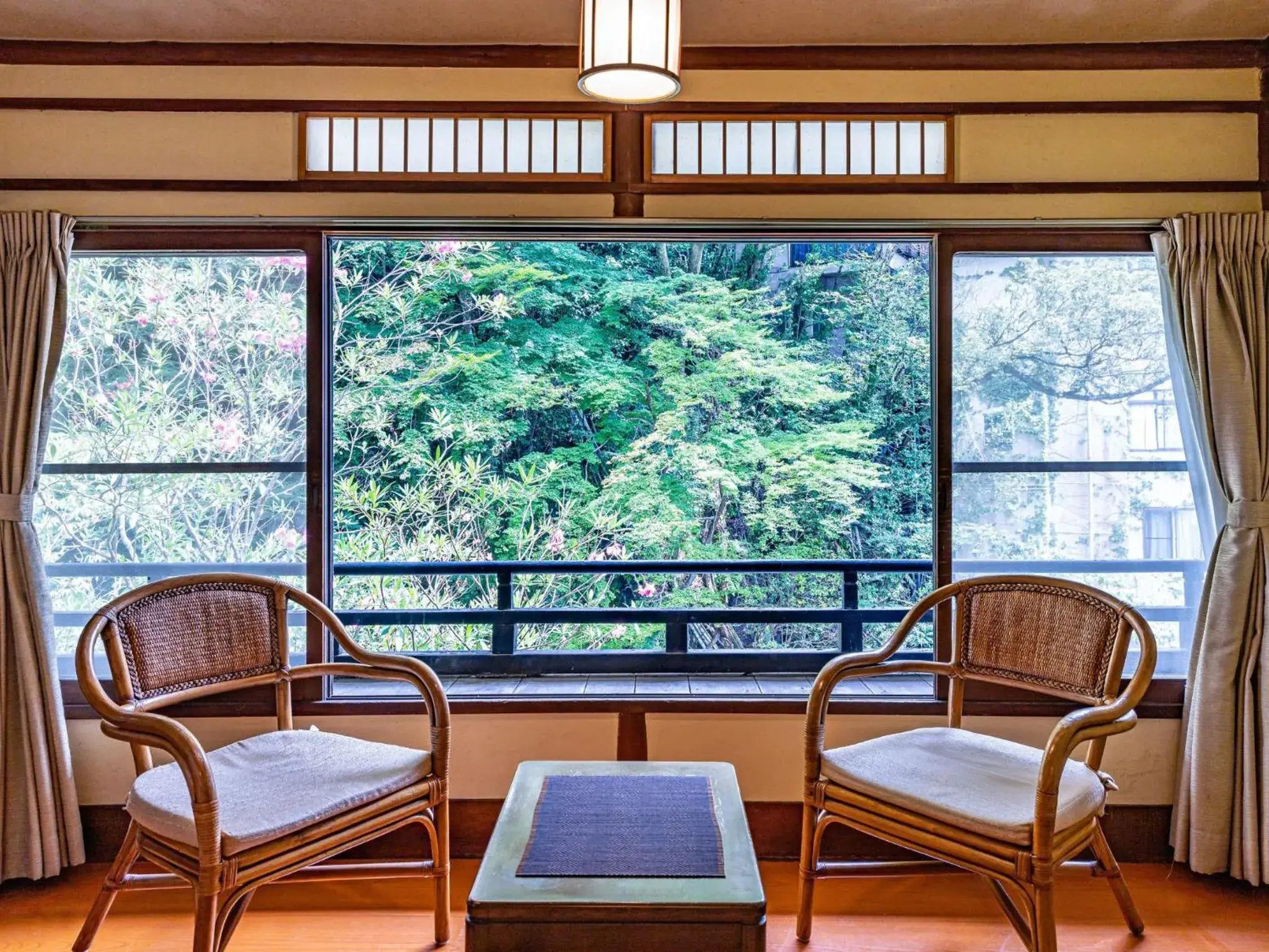 View (from property/room) in Ichinoyu Honkan View (from property/room) in Ichinoyu Honkan