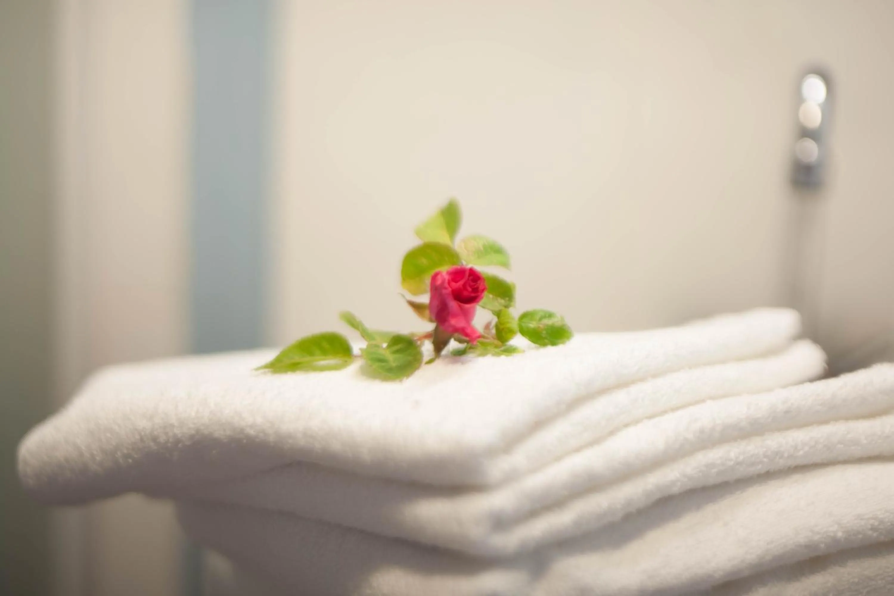 Decorative detail in Les Quatre Siècles