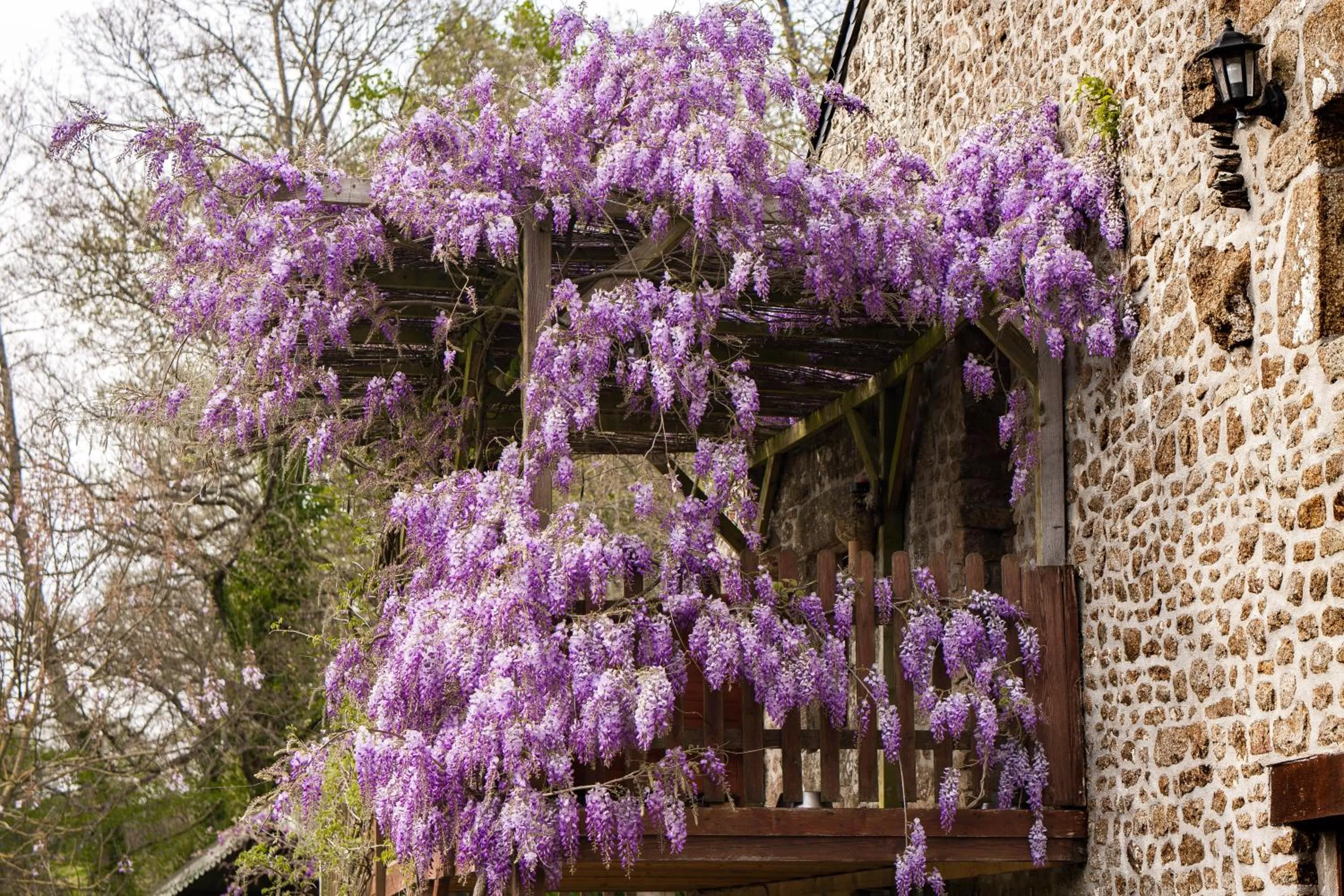 Balcony/Terrace in Les Quatre Siècles