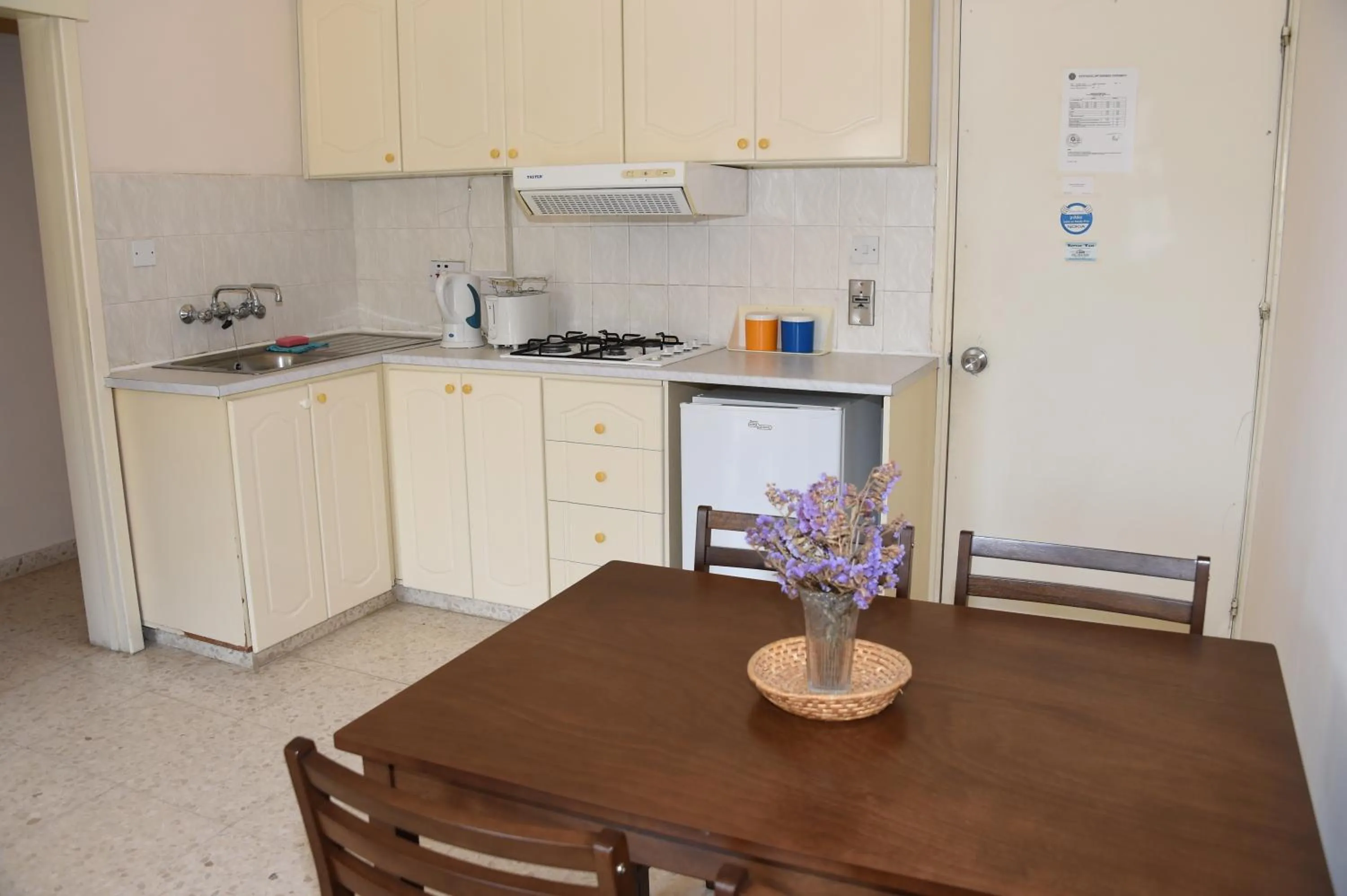 Kitchen or kitchenette in Odysseas & Eleni Hotel Apartments