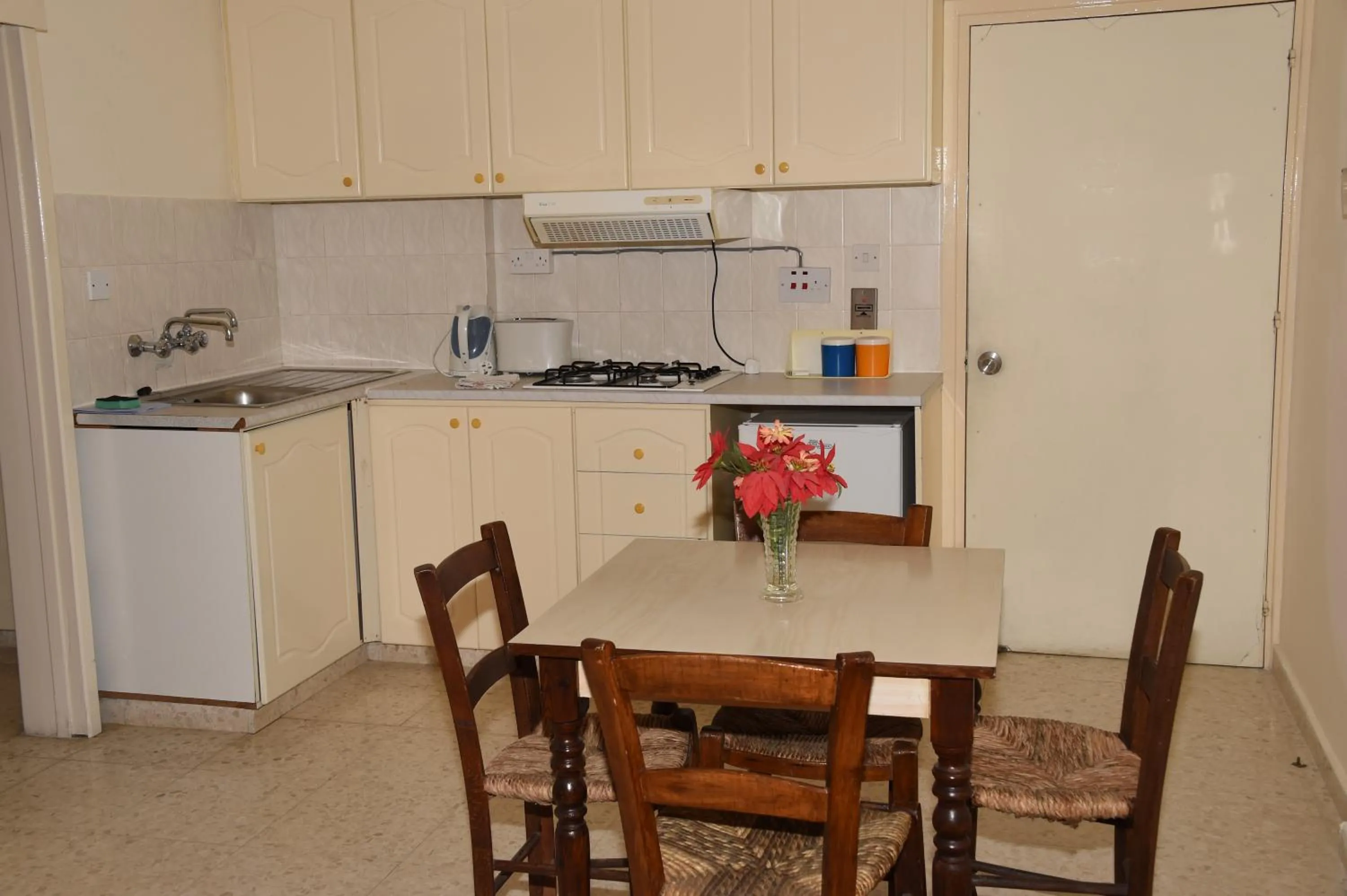 Kitchen or kitchenette in Odysseas & Eleni Hotel Apartments