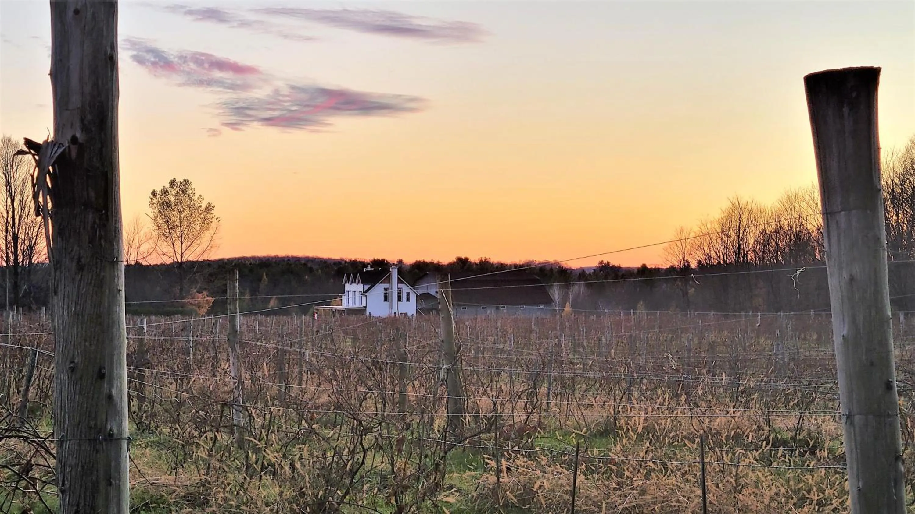 Natural landscape in Auberge du Vignoble Bromont