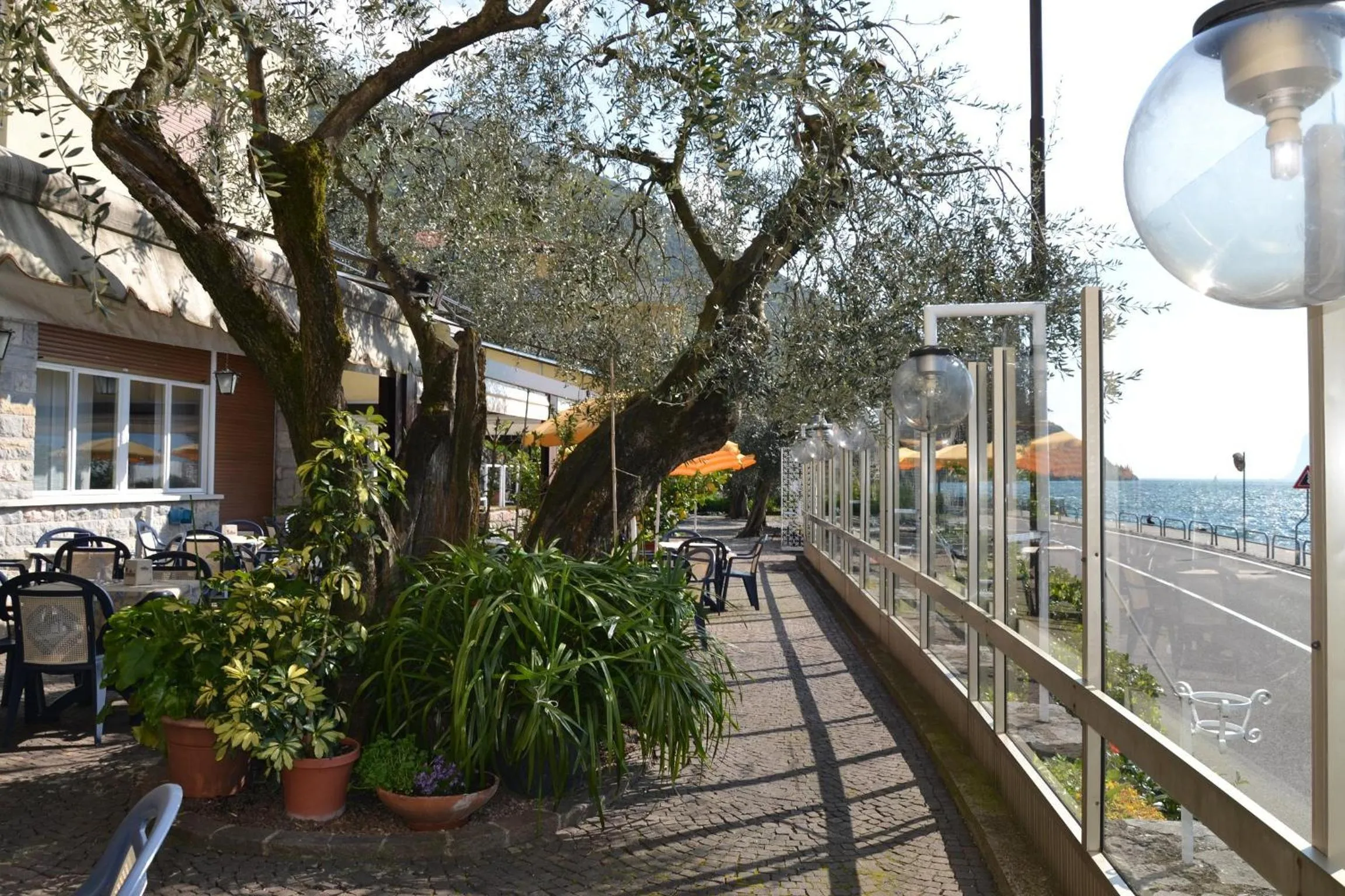 Facade/entrance in Hotel Paradiso Conca d'Oro