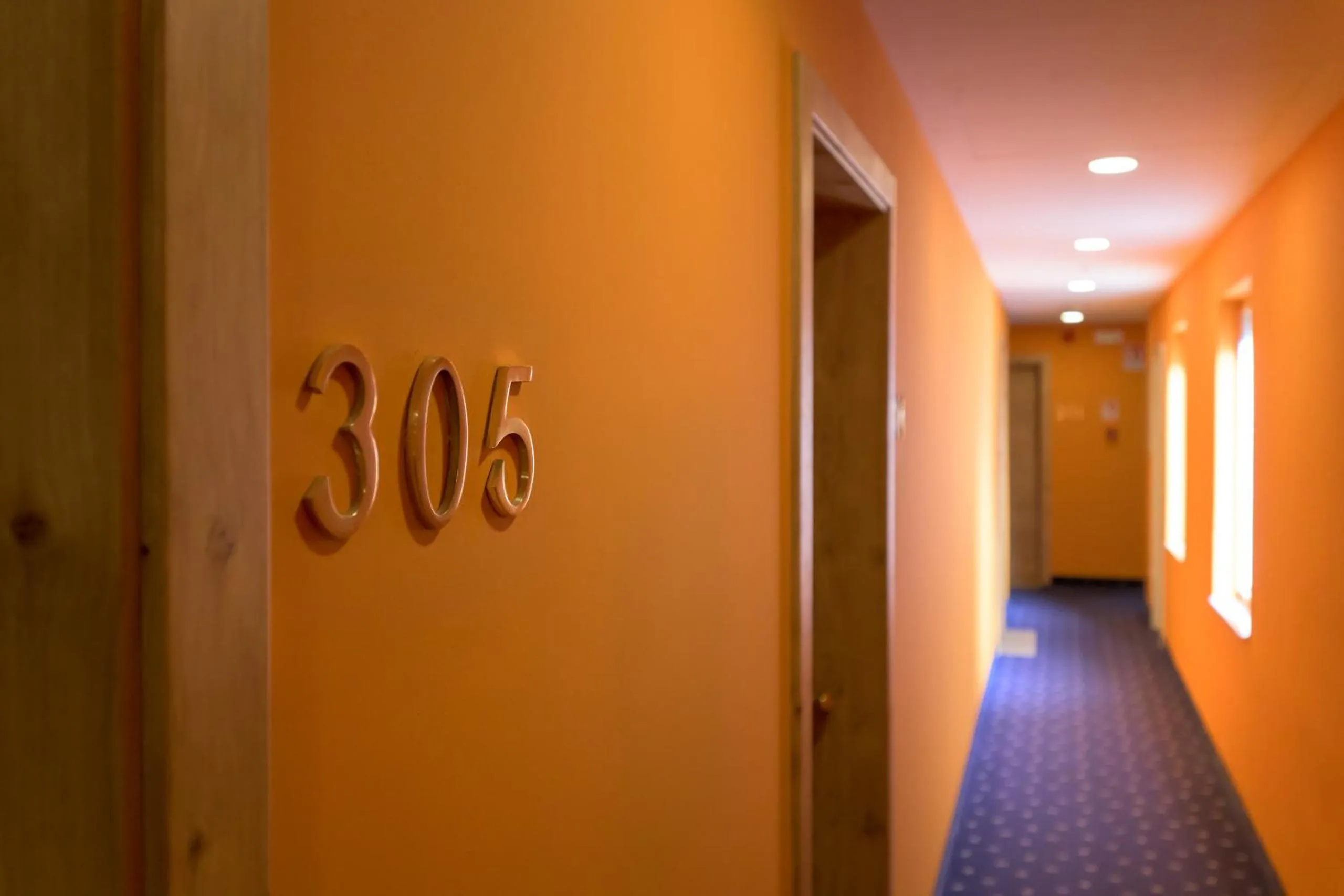 Patio in Hotel Paradiso Conca d'Oro