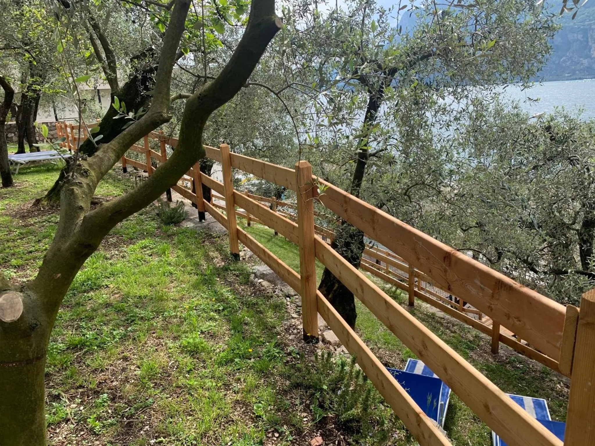 Garden view in Hotel Paradiso Conca d'Oro