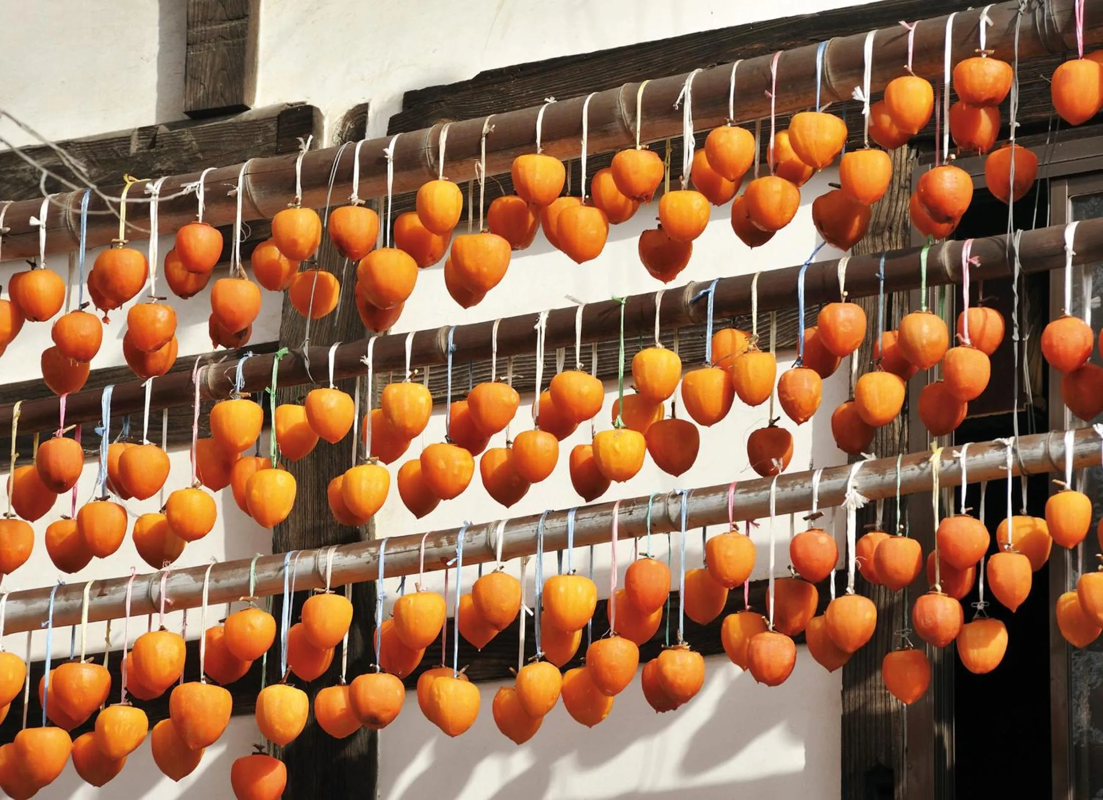 Spring in B&B MIKAWA - Kanazawa Fish Harbour