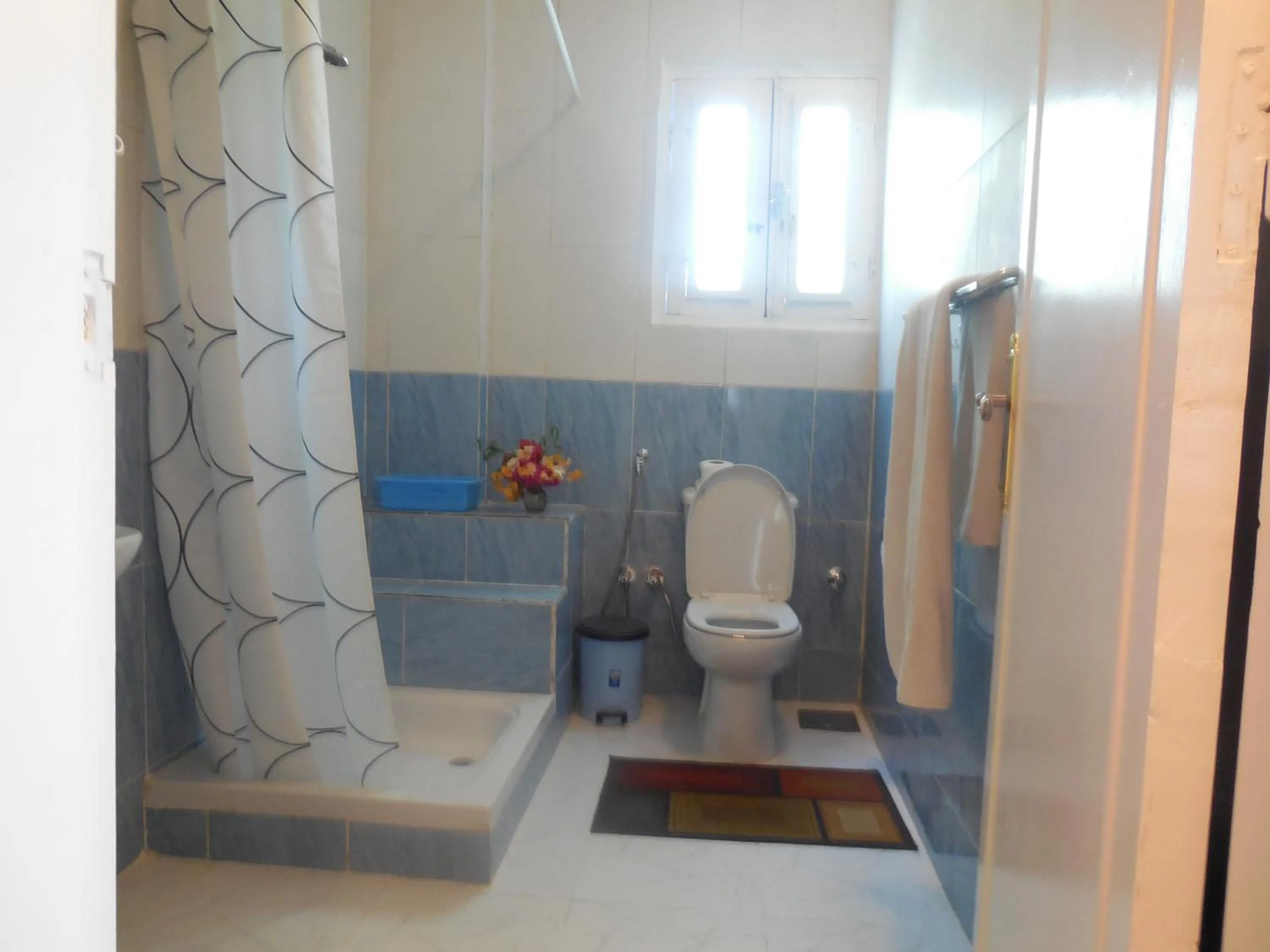 Bathroom in El Gezira Garden Hotel Luxor