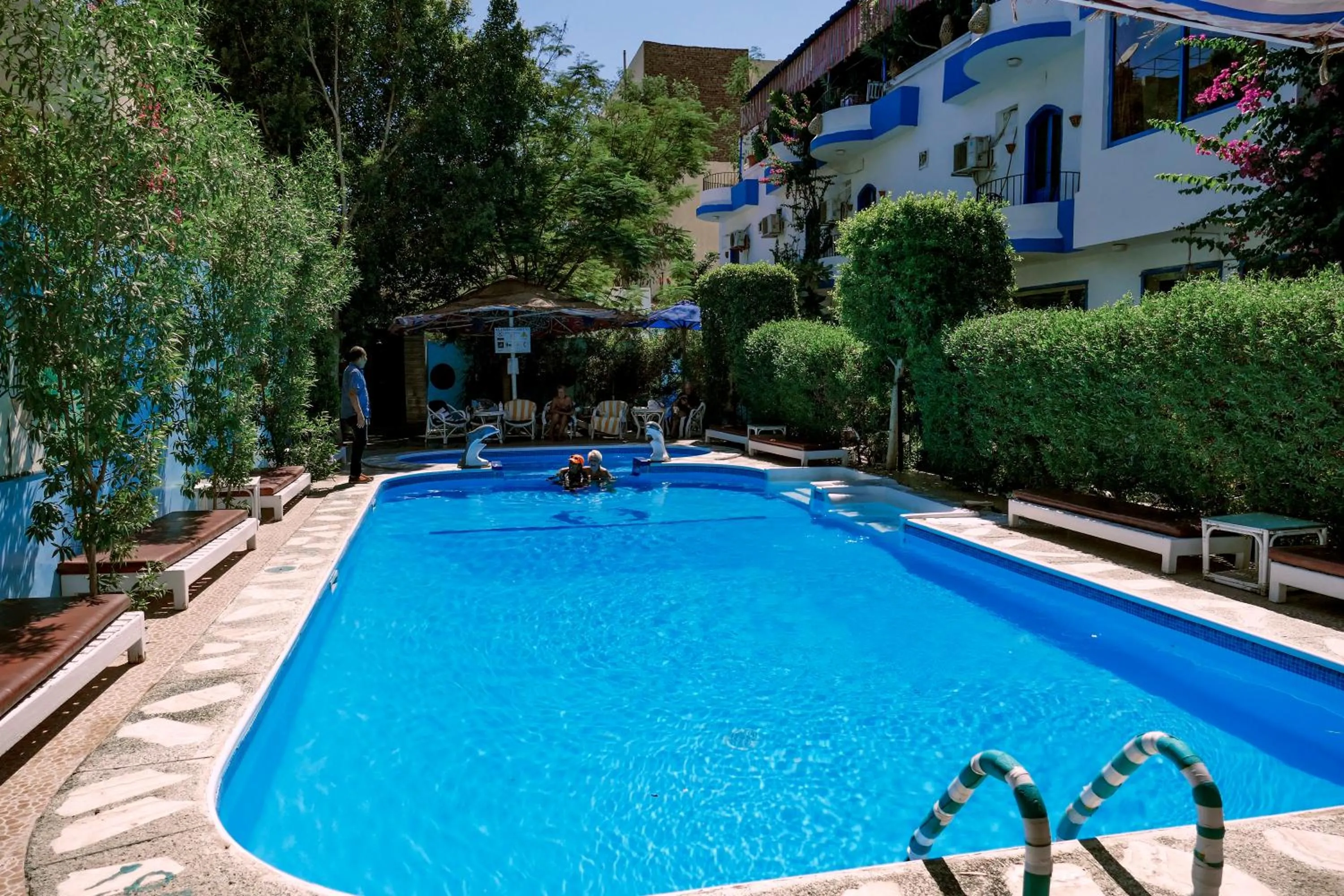 Swimming pool in El Gezira Garden Hotel Luxor