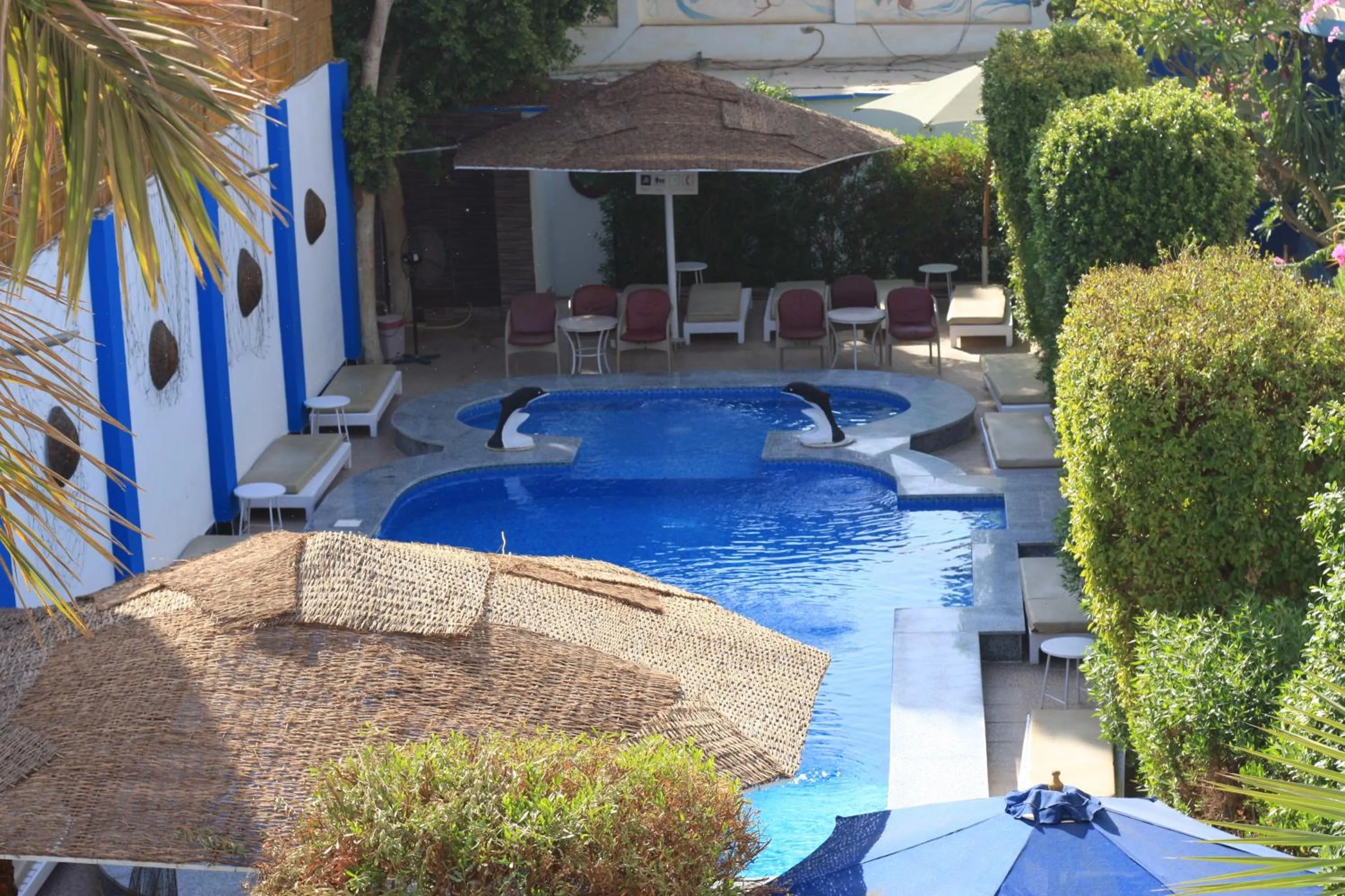 Swimming pool in El Gezira Garden Hotel Luxor