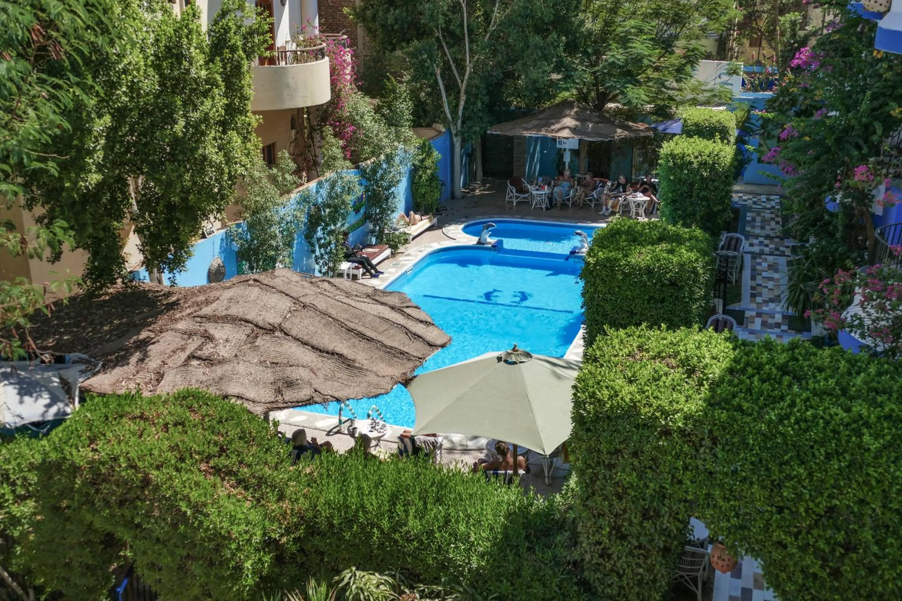 Swimming pool in El Gezira Garden Hotel Luxor
