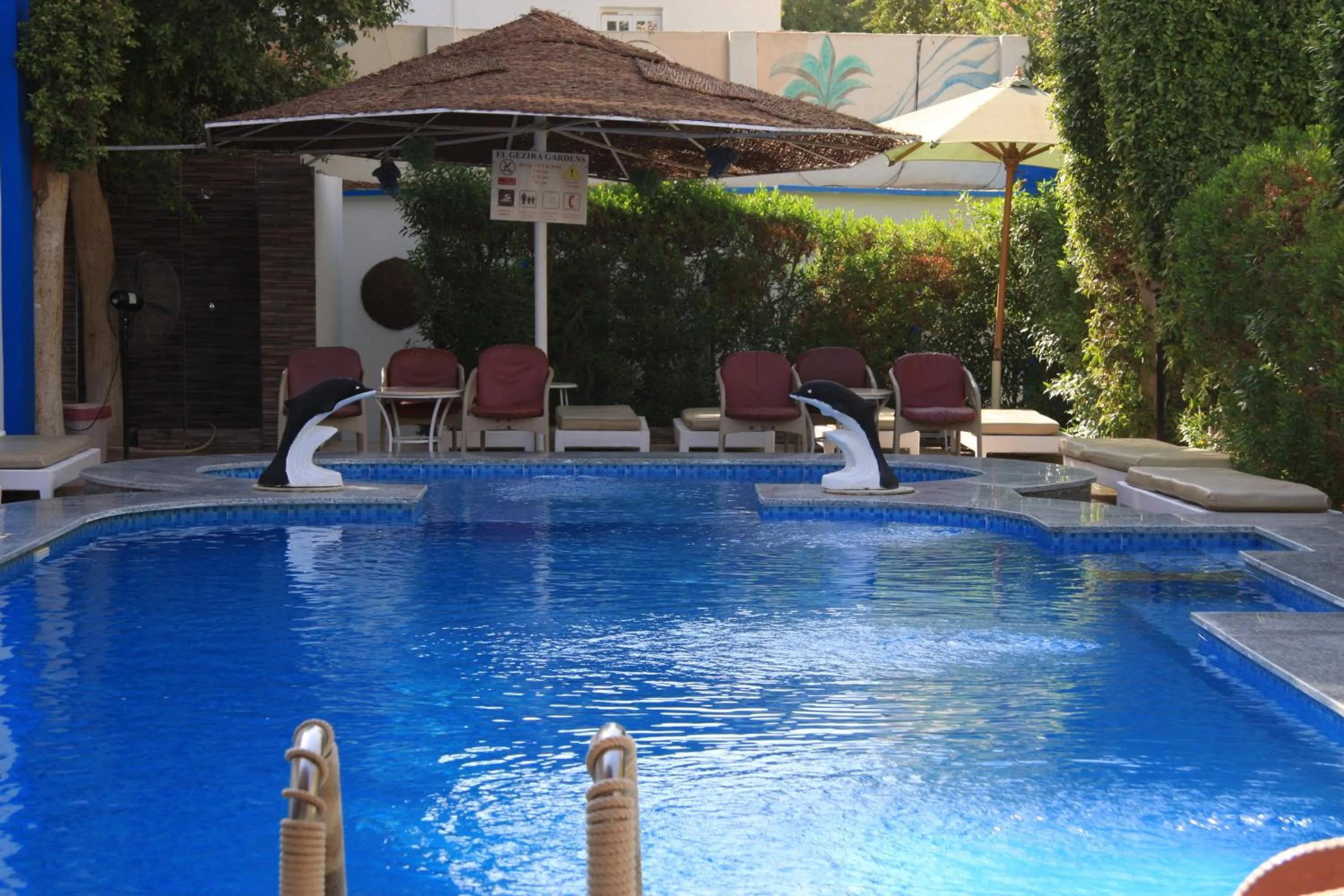 Swimming pool in El Gezira Garden Hotel Luxor