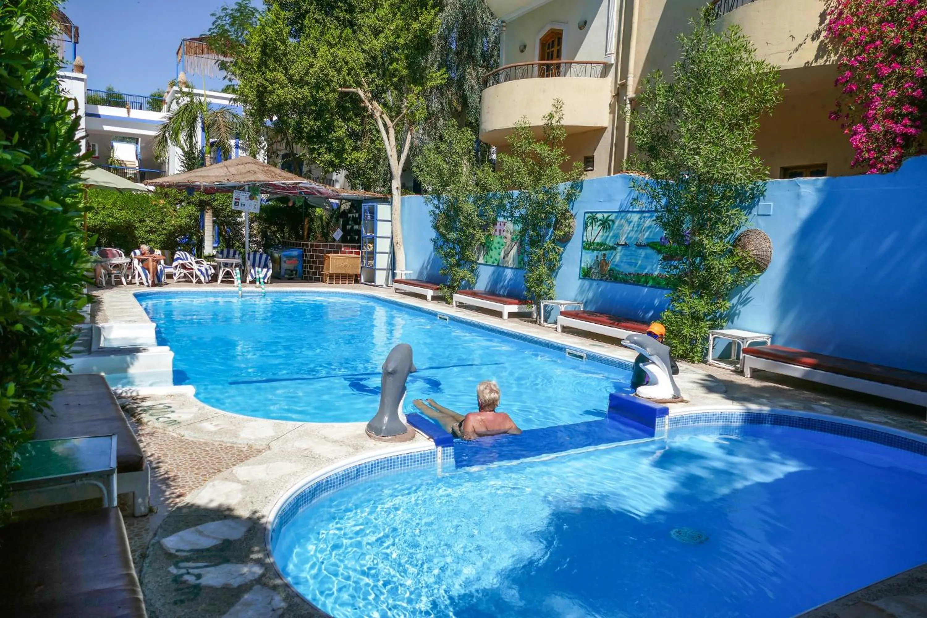 Swimming pool in El Gezira Garden Hotel Luxor