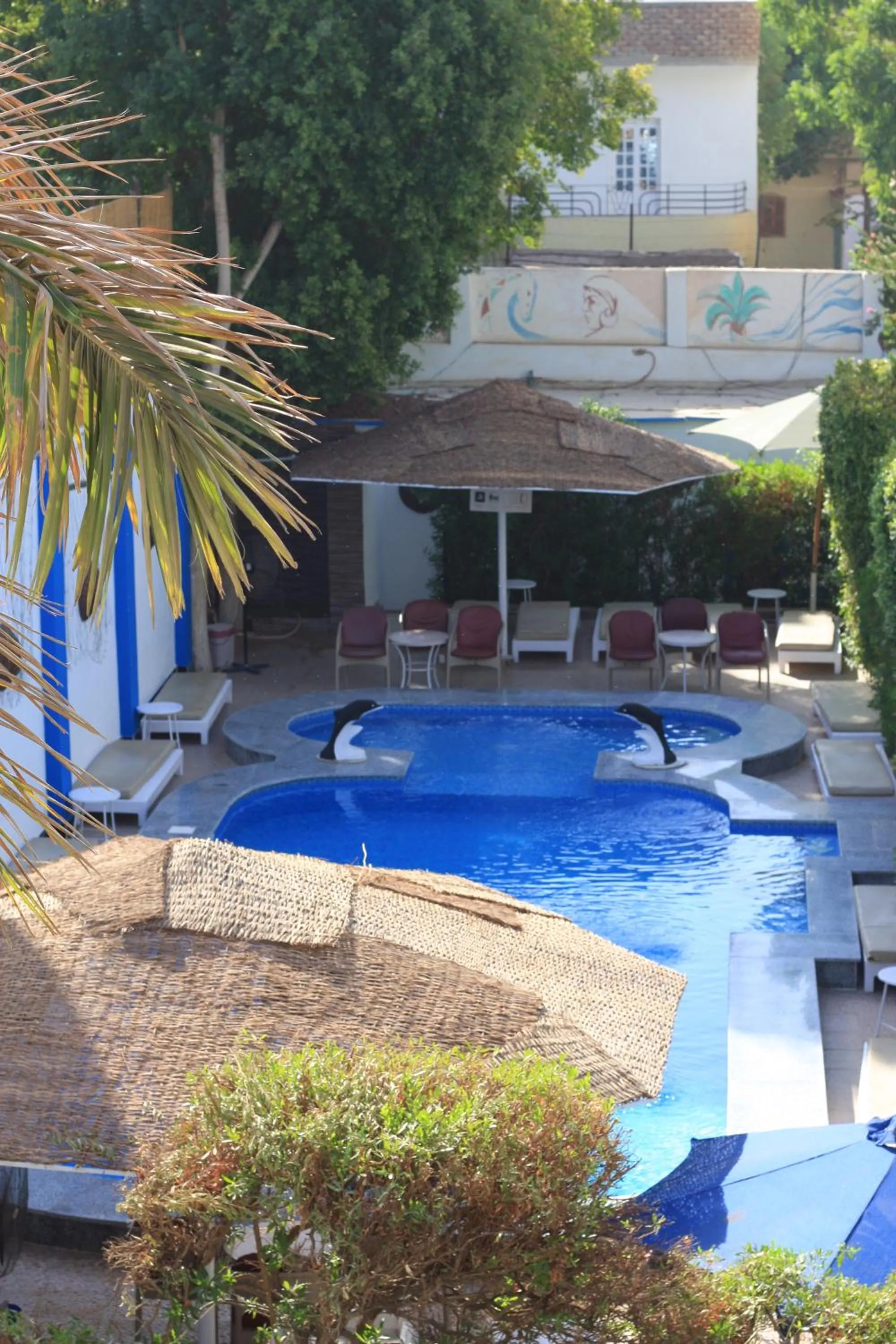 Swimming pool in El Gezira Garden Hotel Luxor