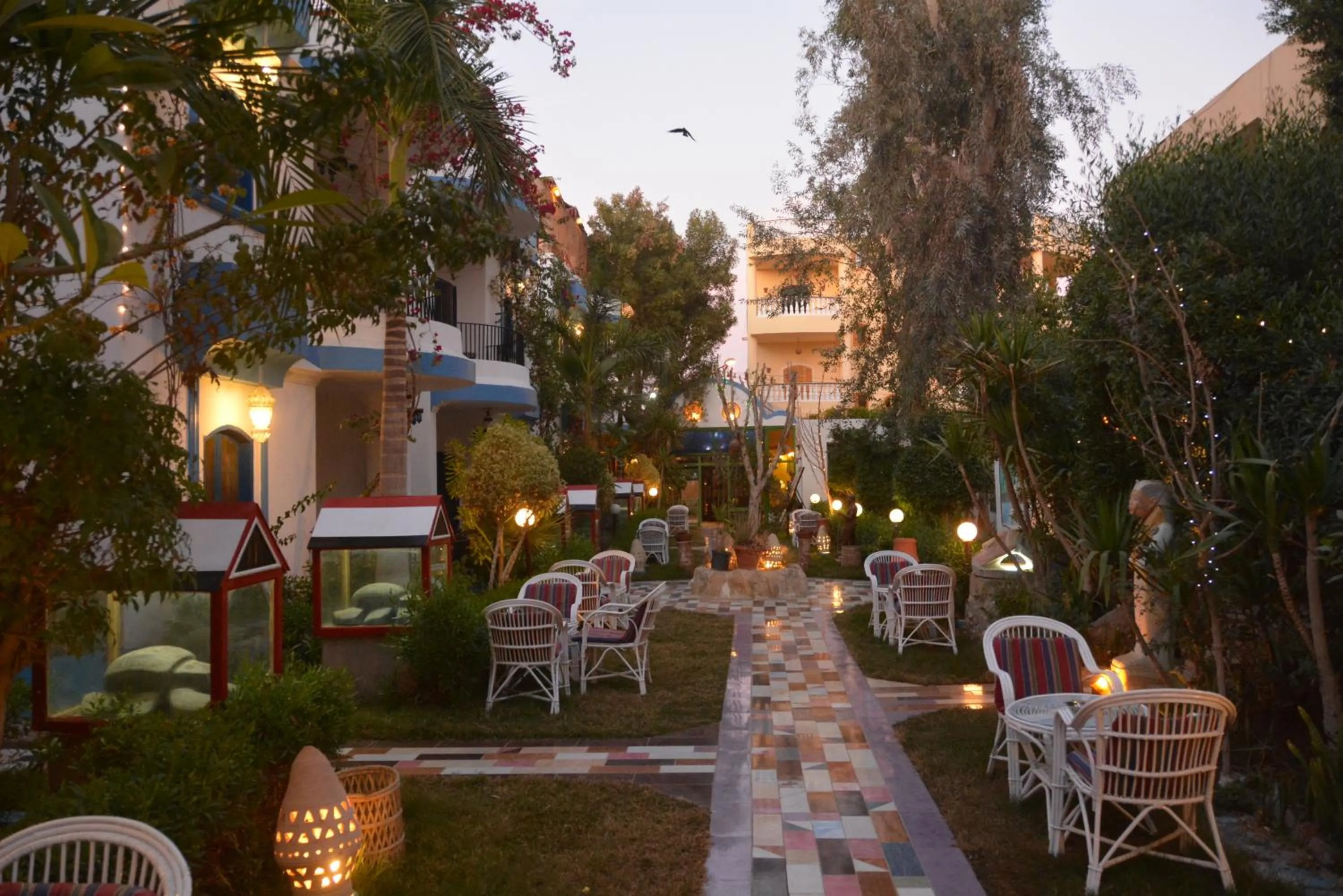 Natural landscape in El Gezira Garden Hotel Luxor