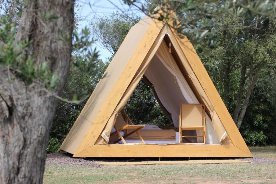 Photo of the whole room in Hotel Fundació L'Olivar