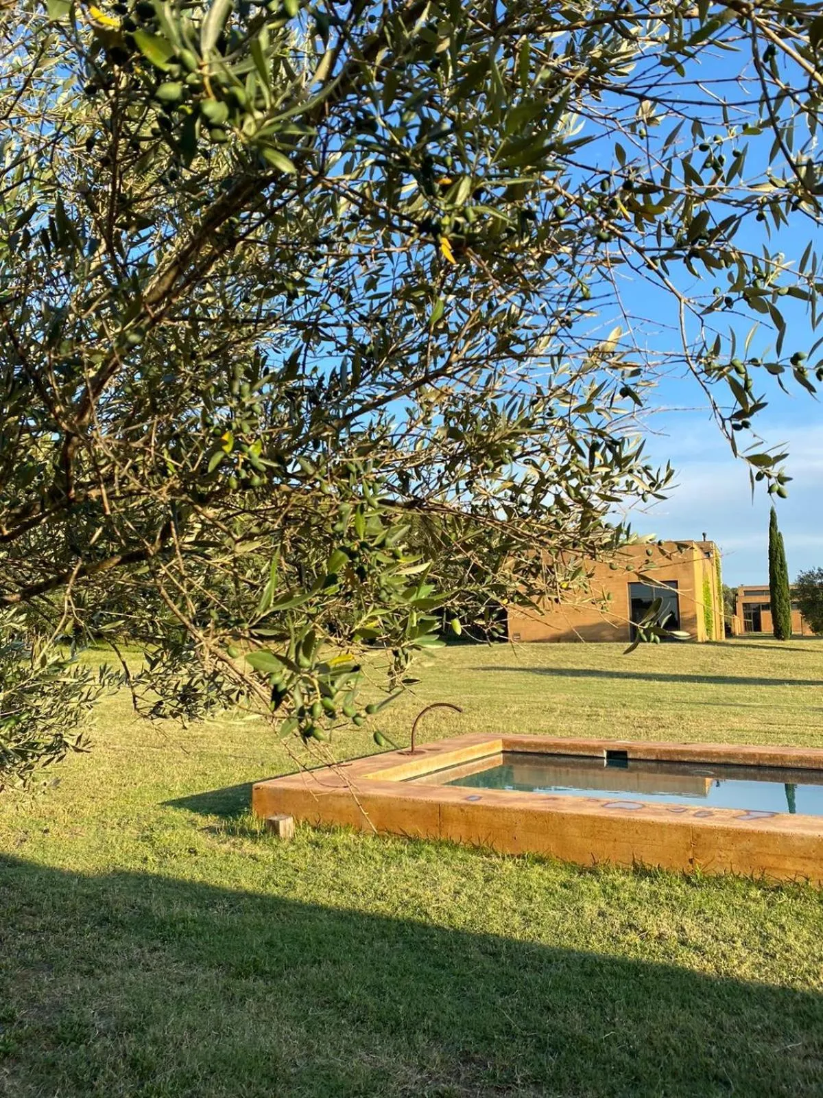 Garden in Hotel Fundació L'Olivar