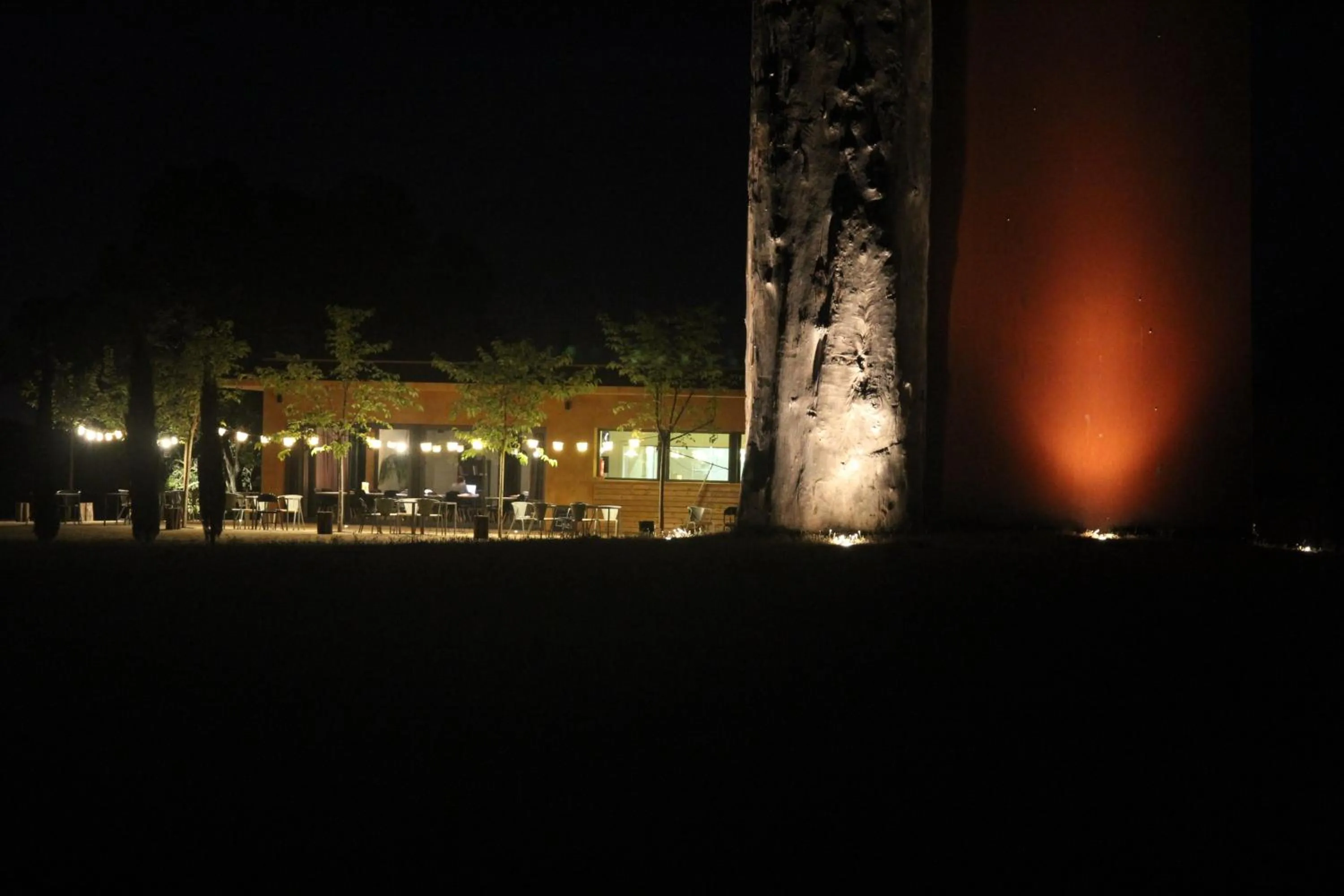 Restaurant/places to eat in Hotel Fundació L'Olivar