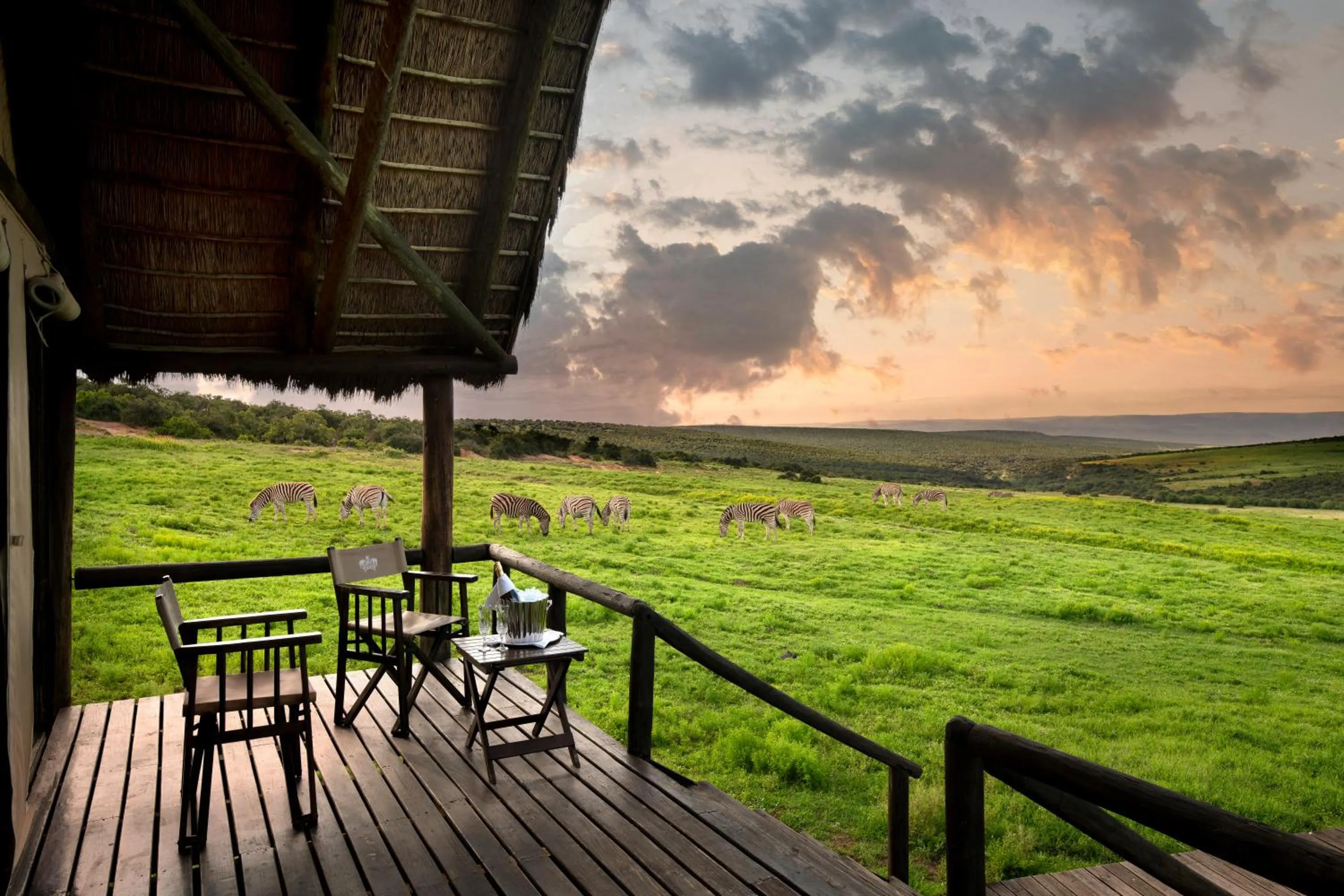 Patio in Gorah Elephant Camp