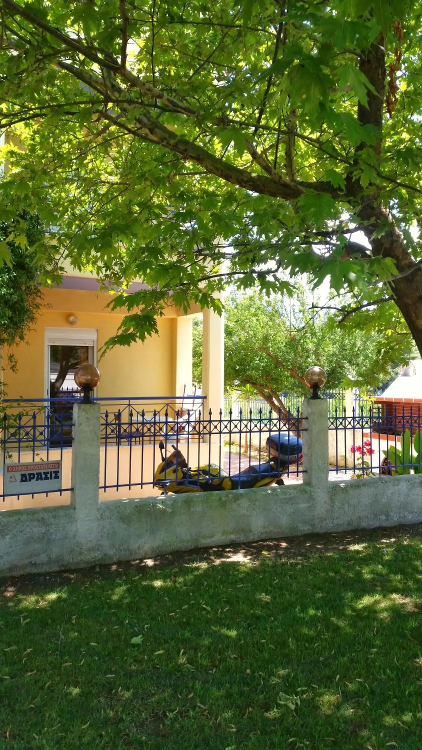 Garden in Hotel Giorgio