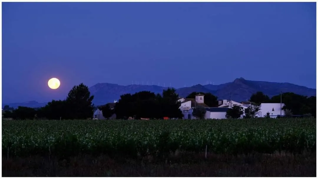 Natural landscape in Casa Rural El Llano Quintanilla