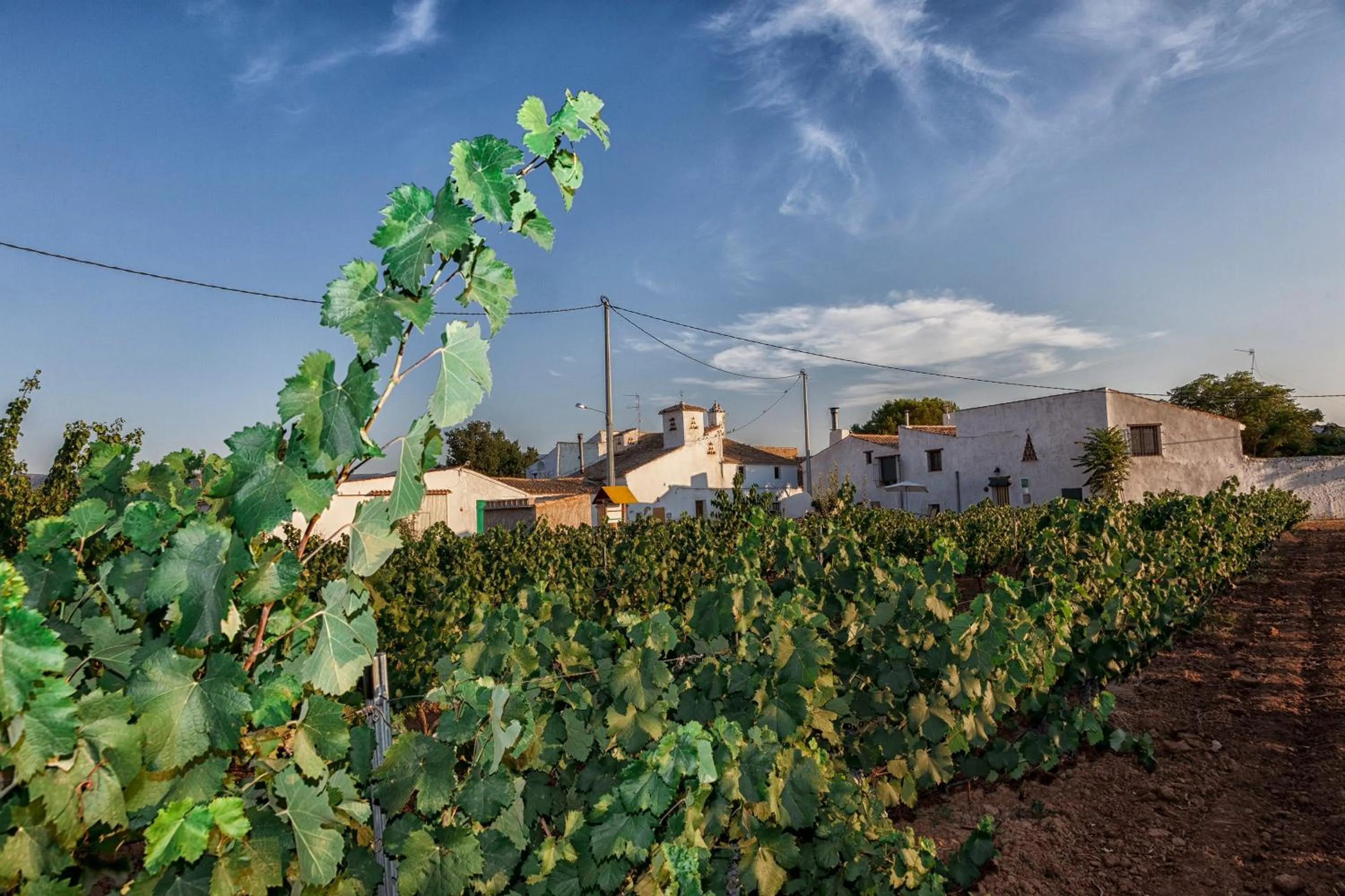 Activities in Casa Rural El Llano Quintanilla